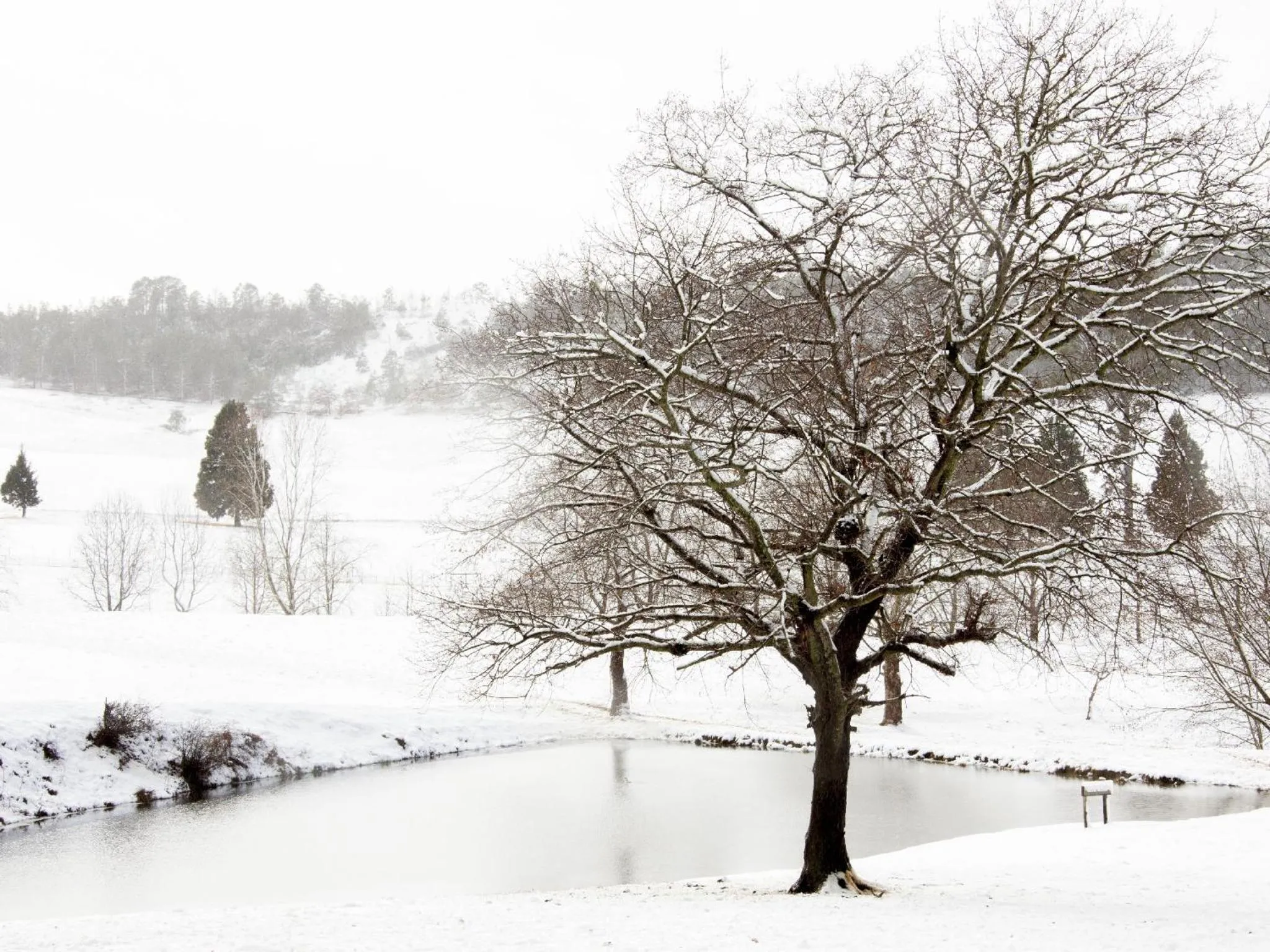 Natural landscape in Whispering Waters