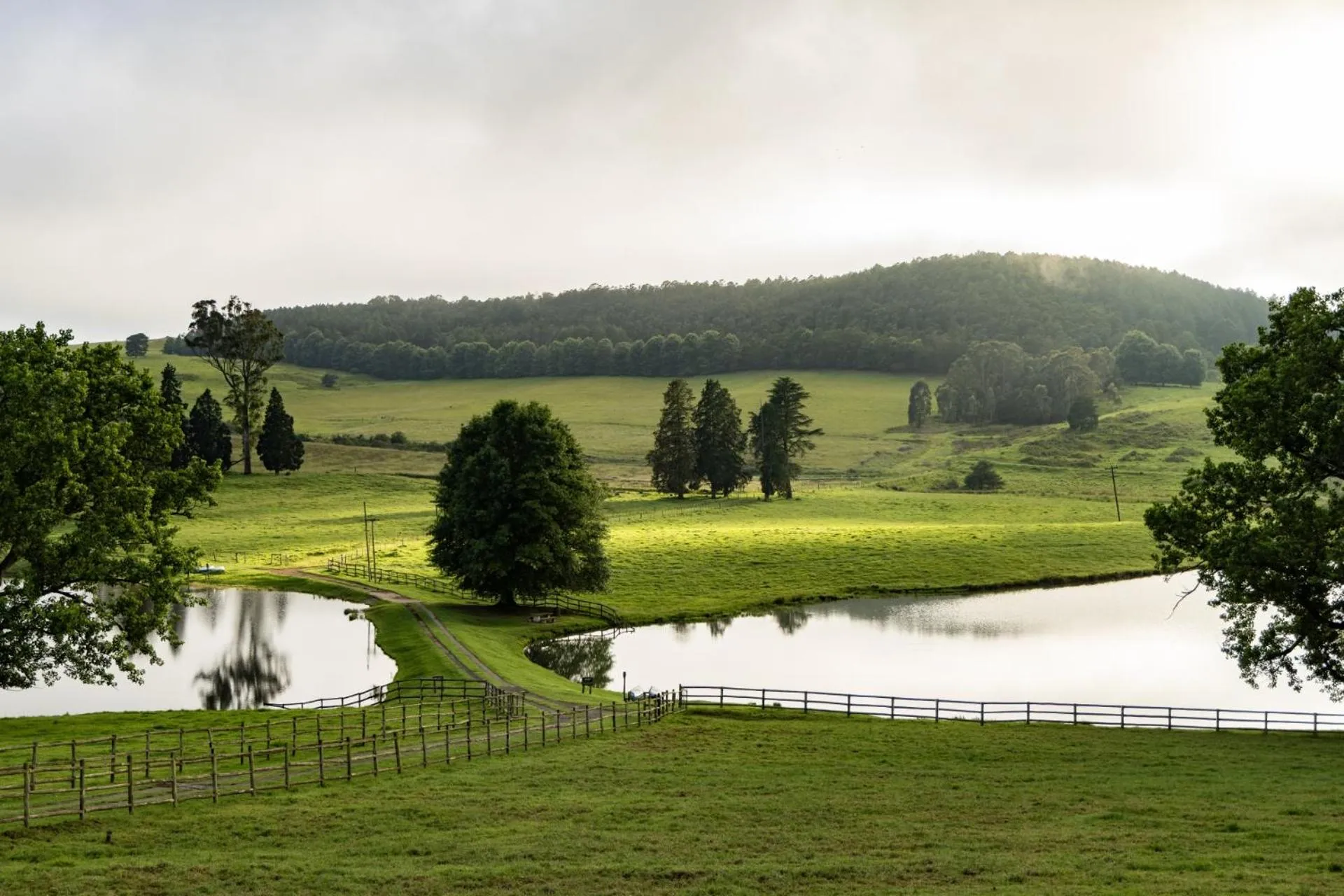 Natural landscape in Whispering Waters