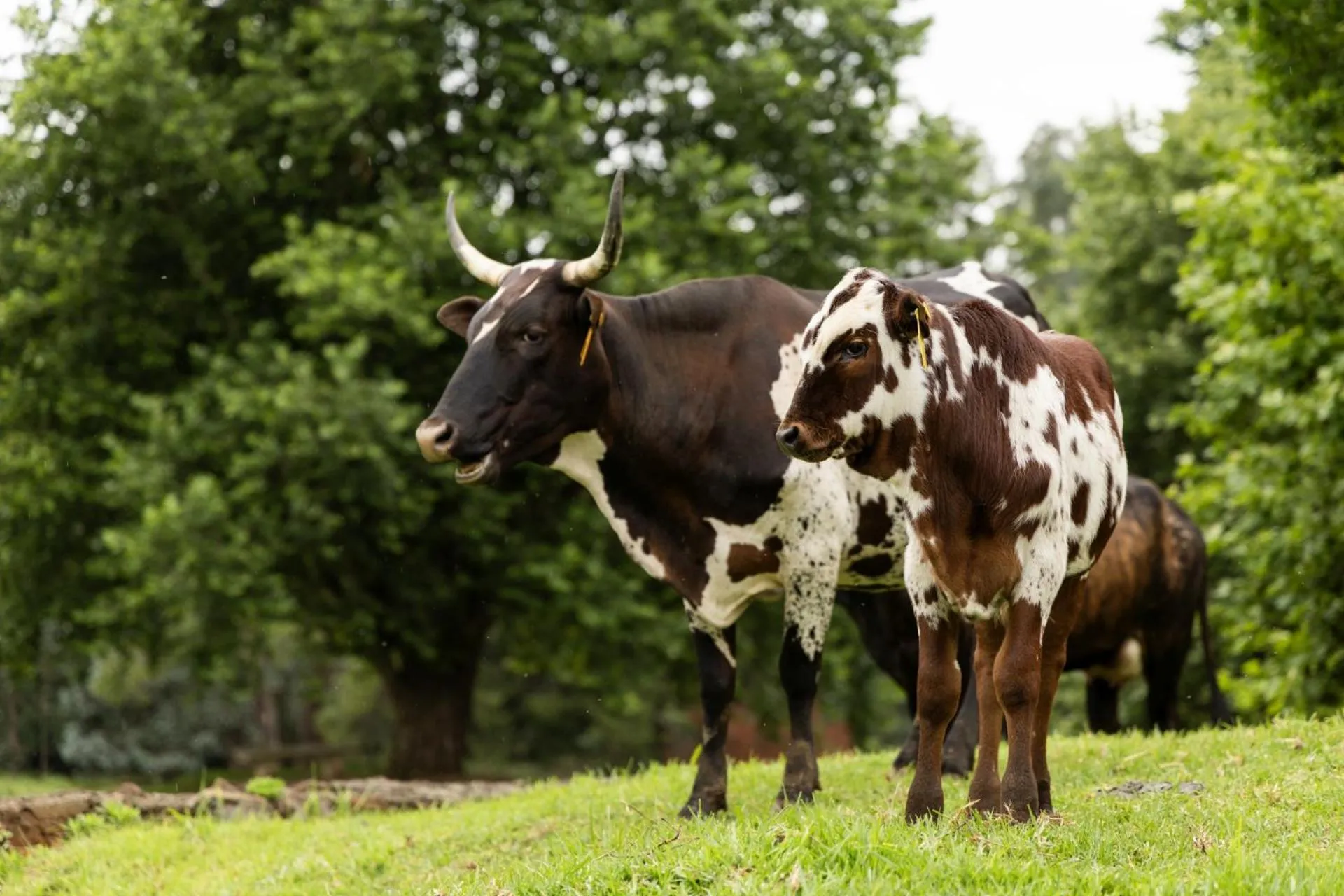 Day in Whispering Waters