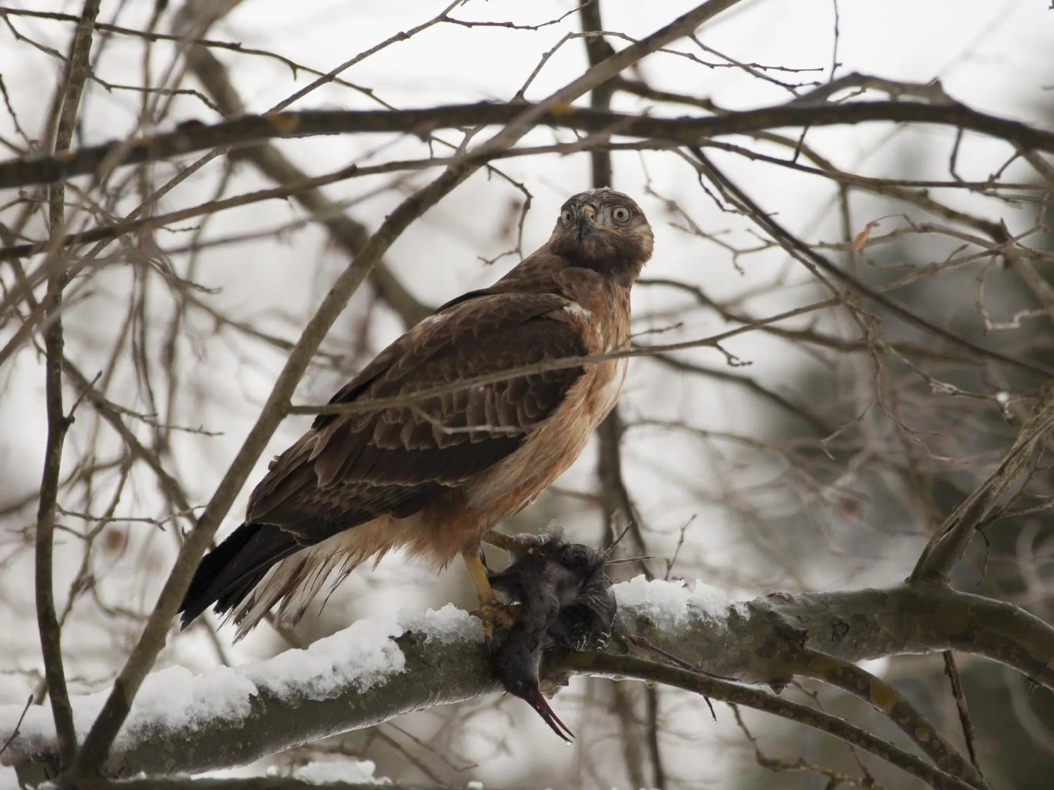 Winter in Whispering Waters