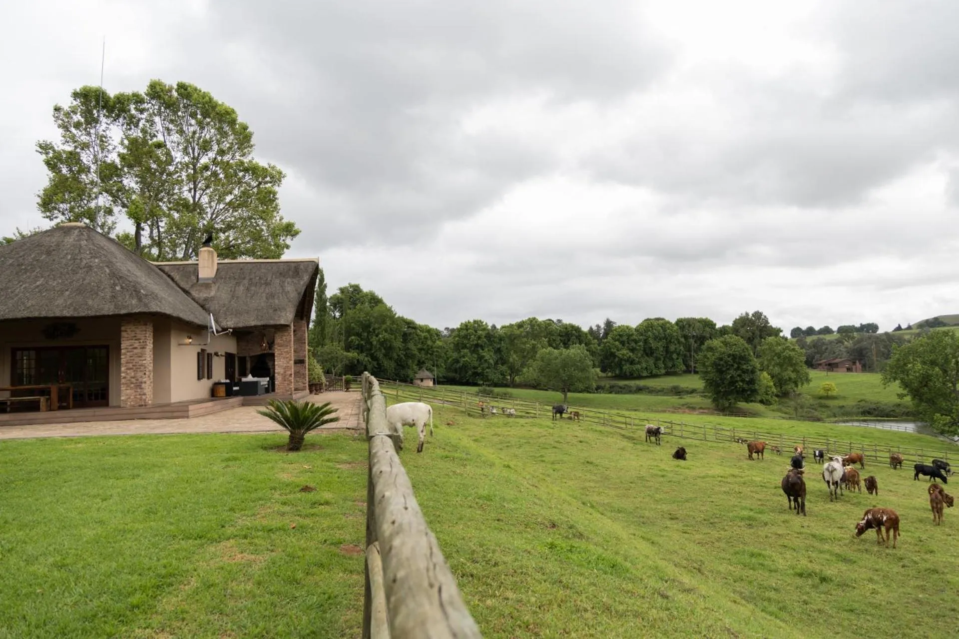 Natural landscape in Whispering Waters