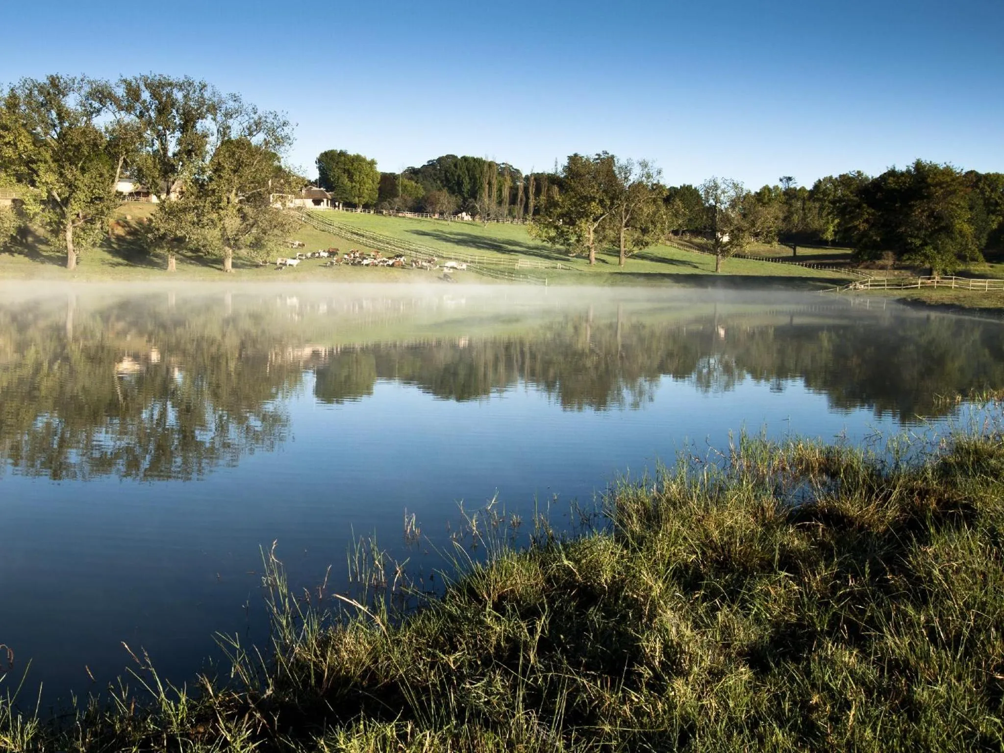 Lake view in Whispering Waters