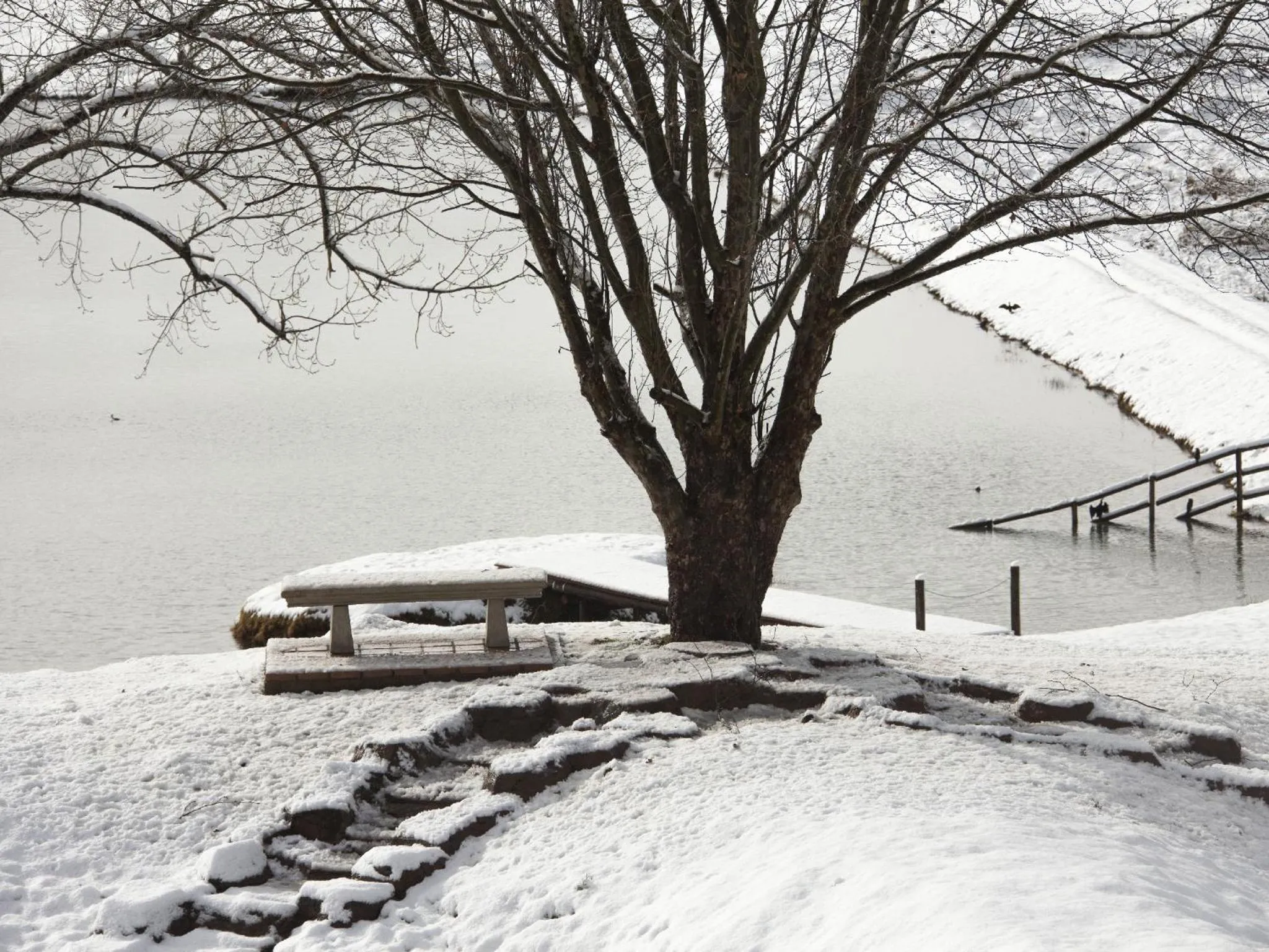 Natural landscape in Whispering Waters