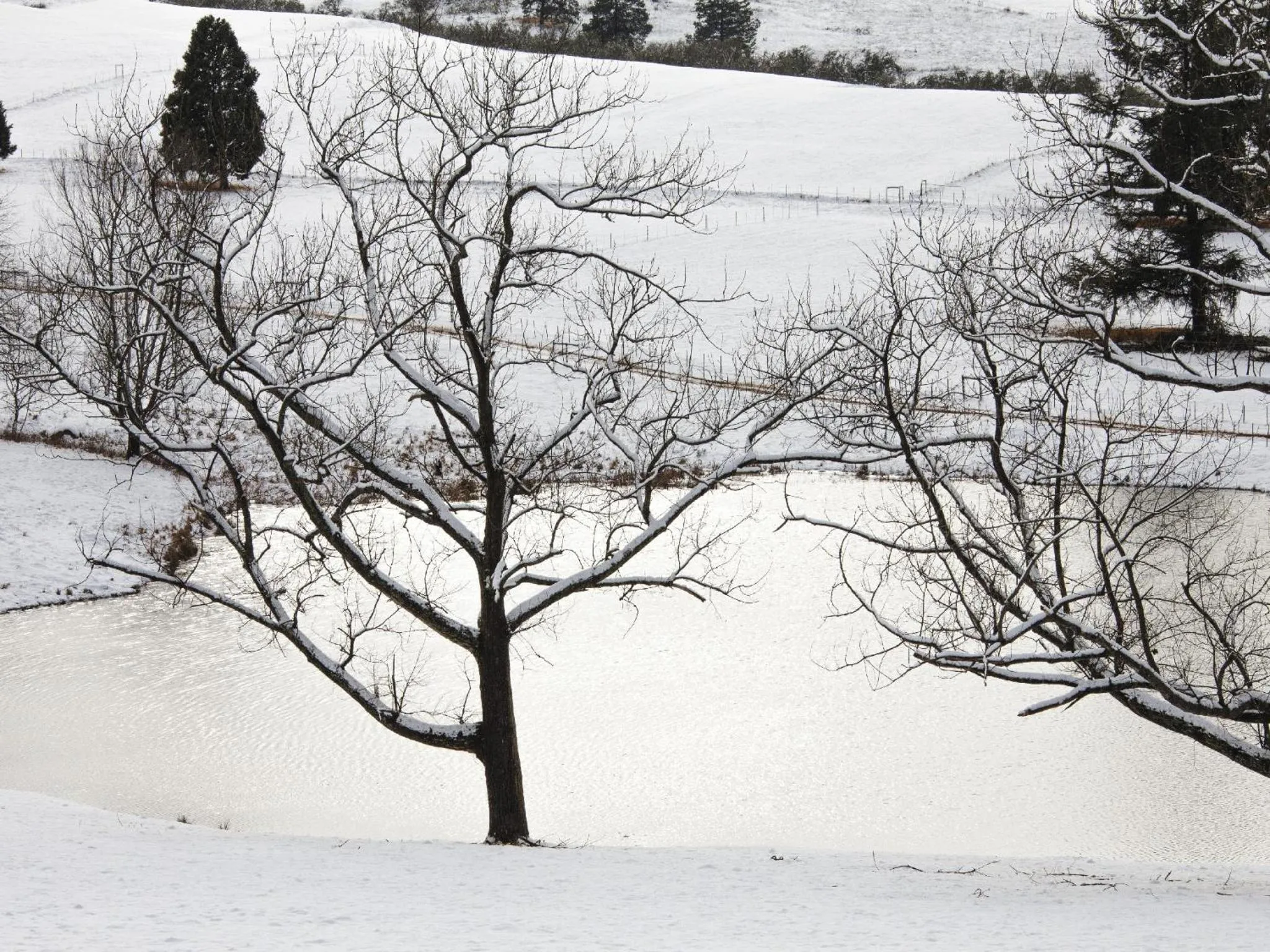 Natural landscape in Whispering Waters