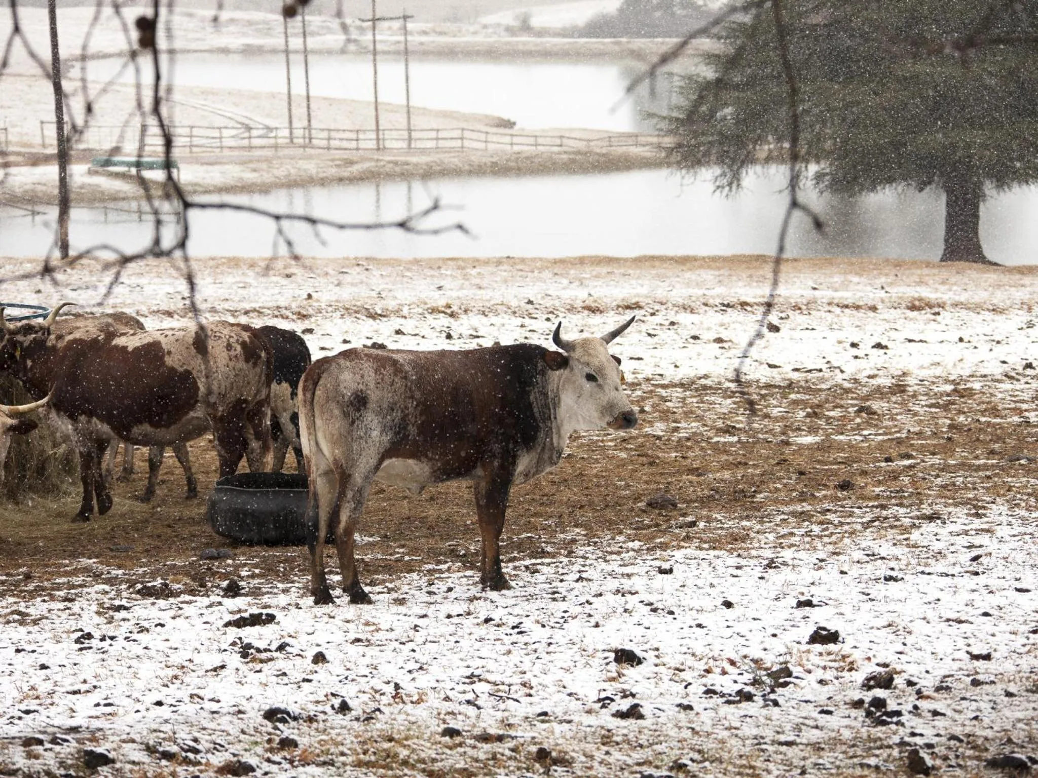 Winter in Whispering Waters