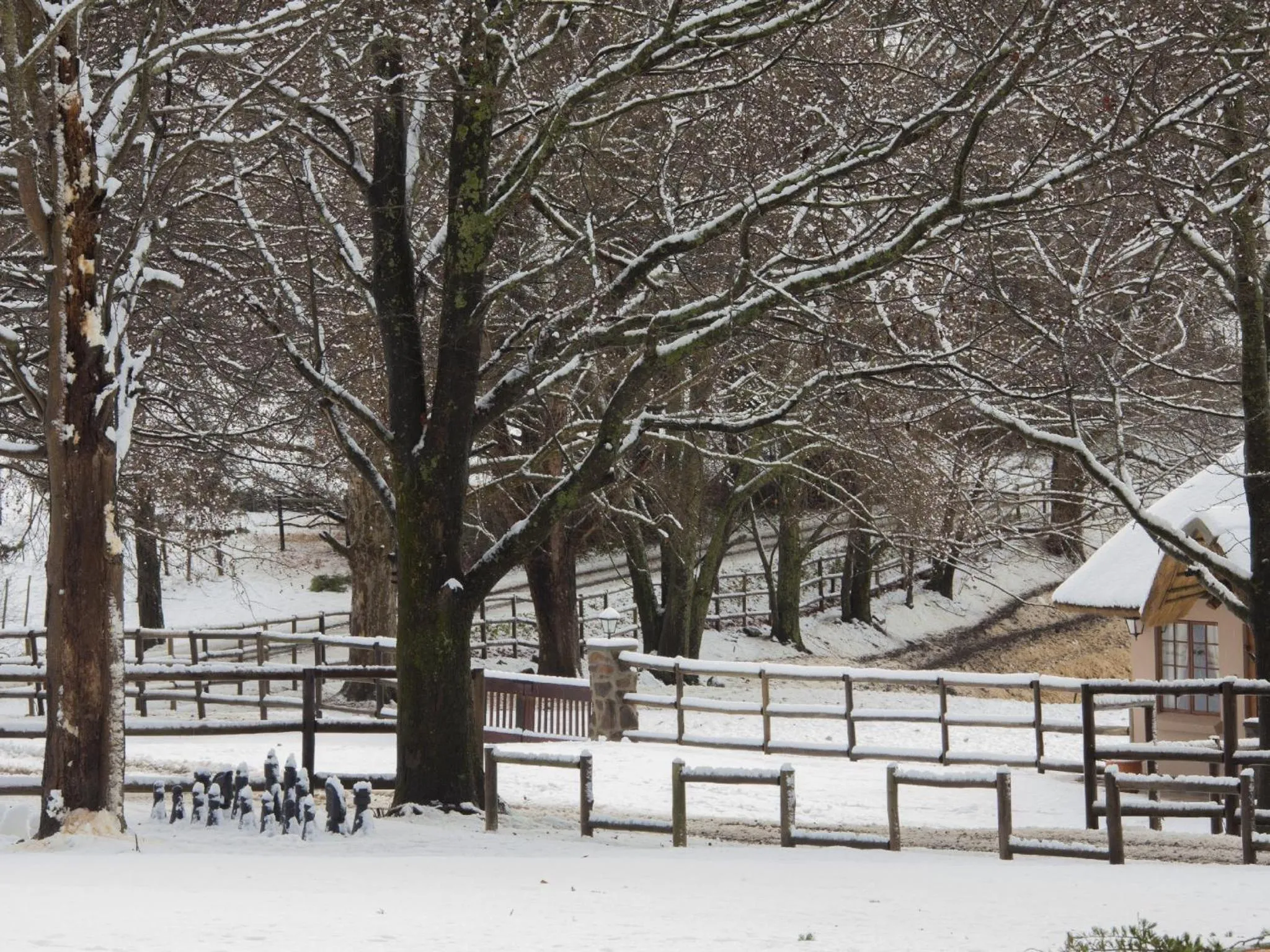 Property building in Whispering Waters