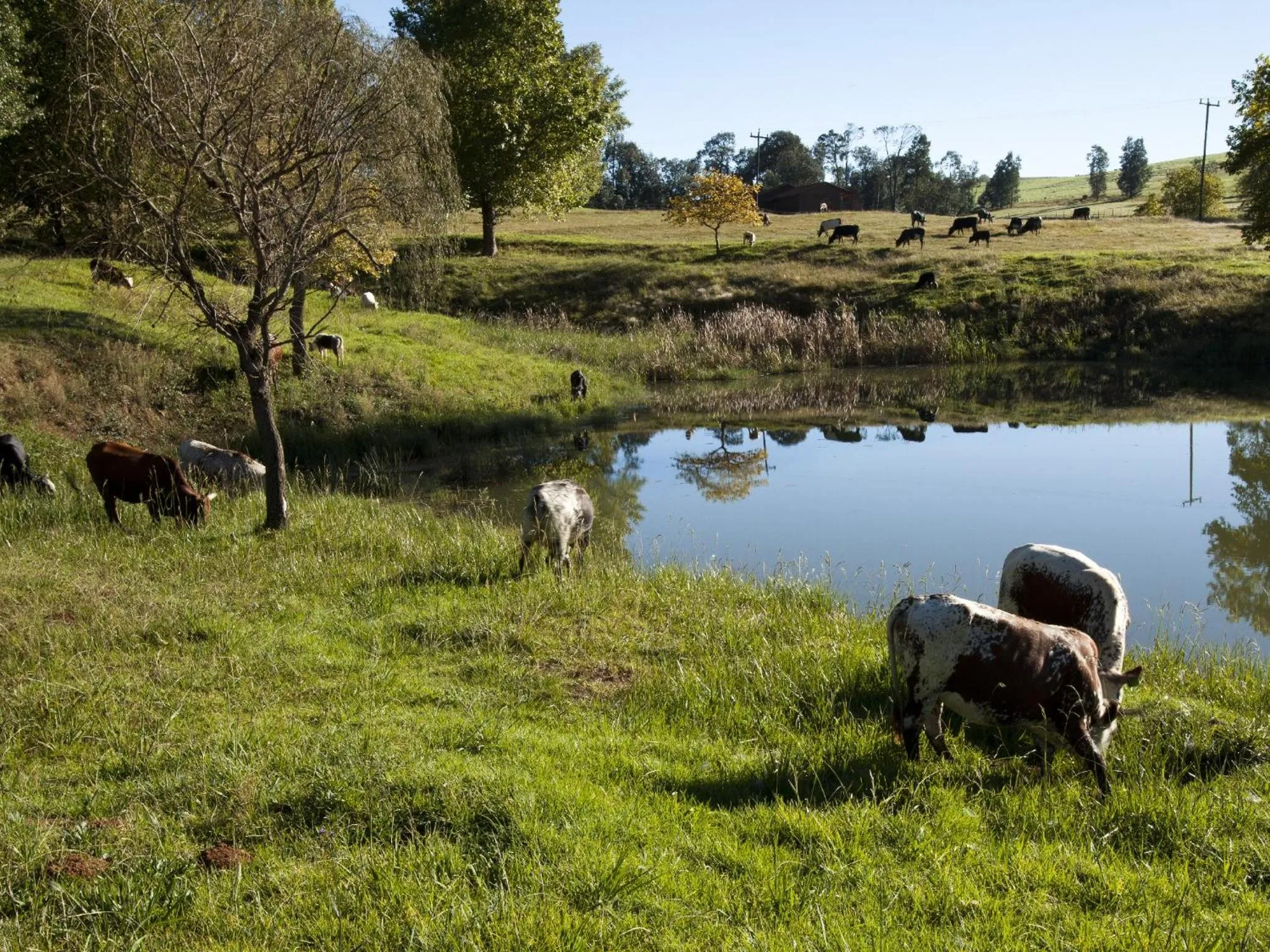 Natural landscape in Whispering Waters
