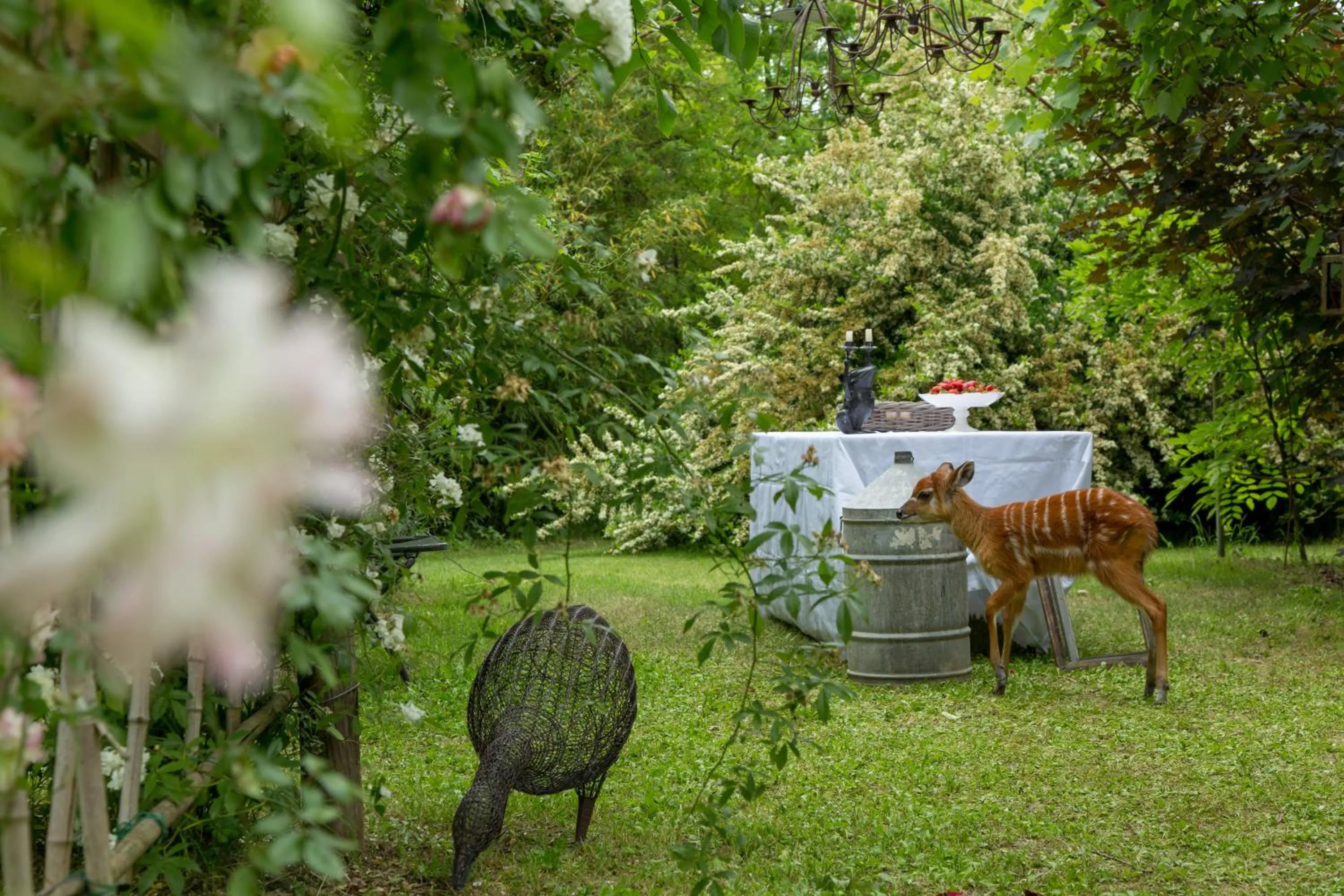 Garden in Ca'Bevilacqua Bed&Breakfast