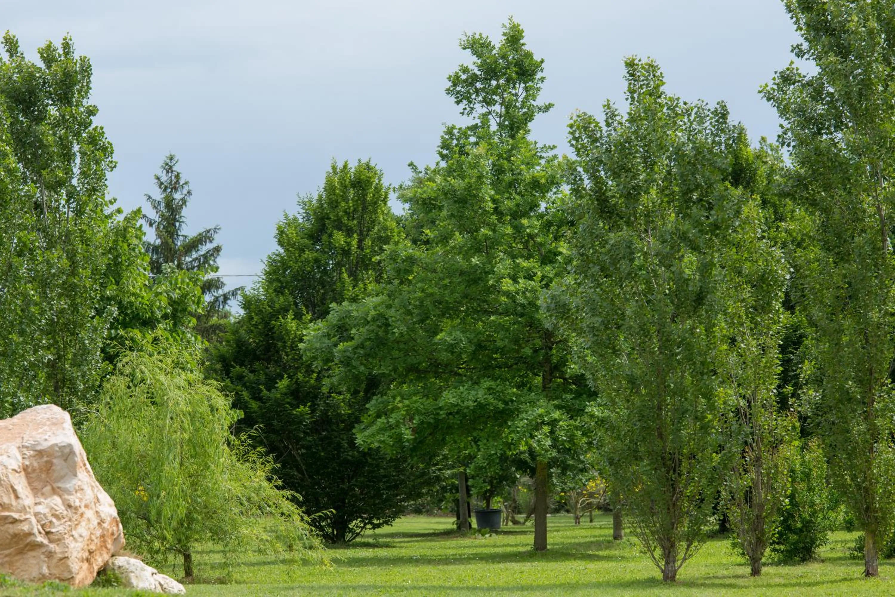 Natural landscape in Ca'Bevilacqua Bed&Breakfast