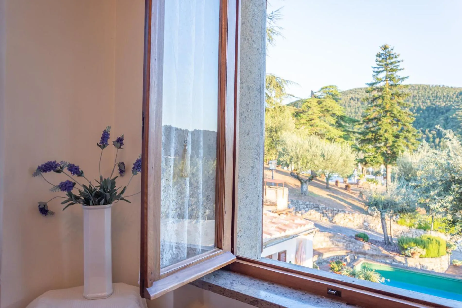 Bed and Breakfast Albe