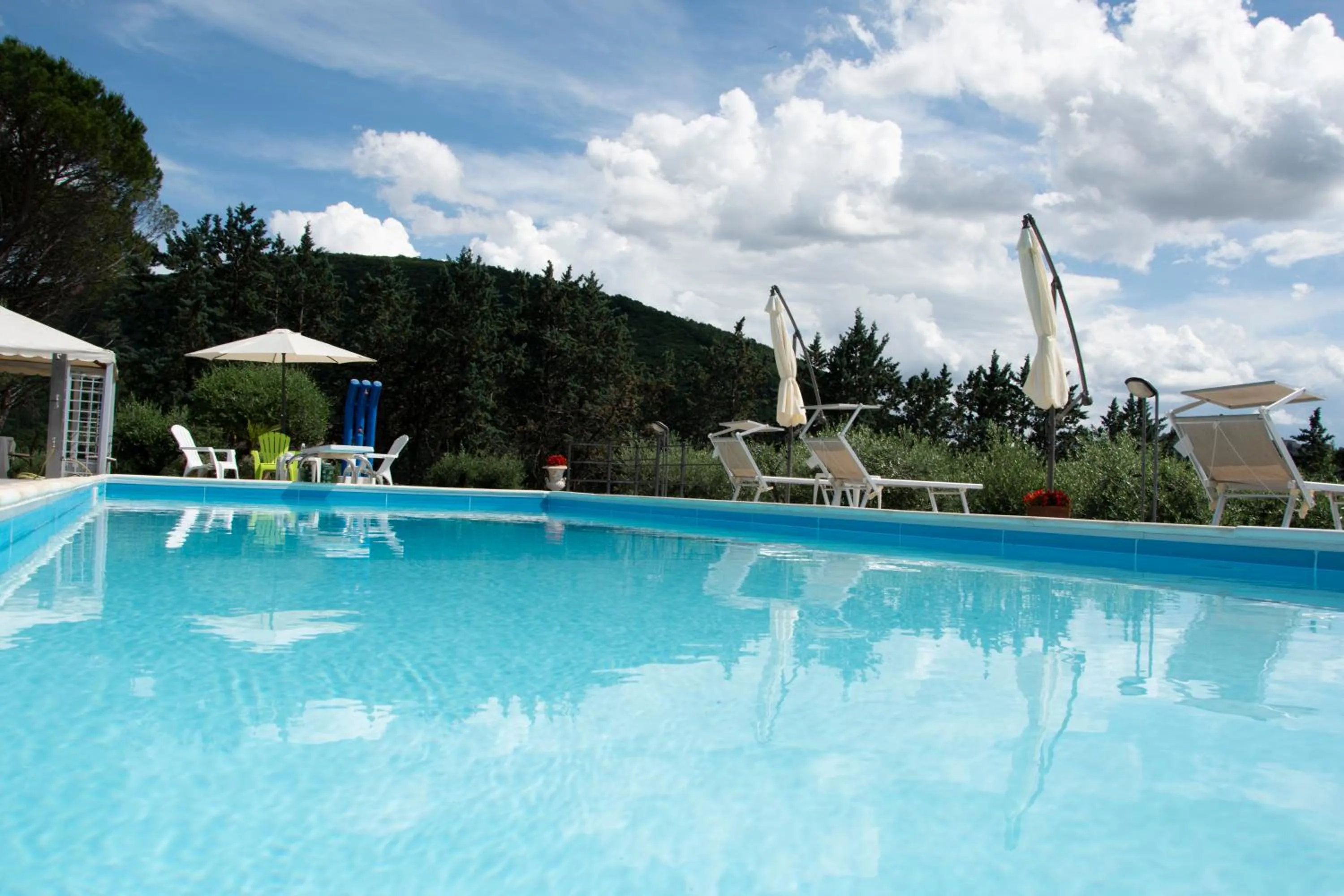 Garden in Bed and Breakfast Albe