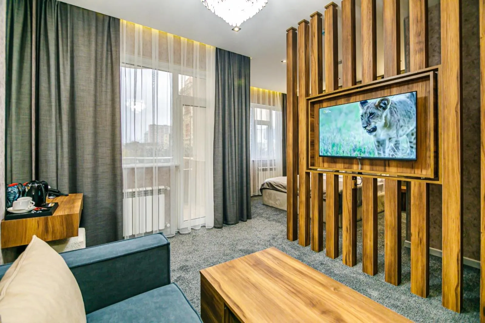 Deluxe Double or Twin Room - single occupancy in GREEN PARK HOTEl