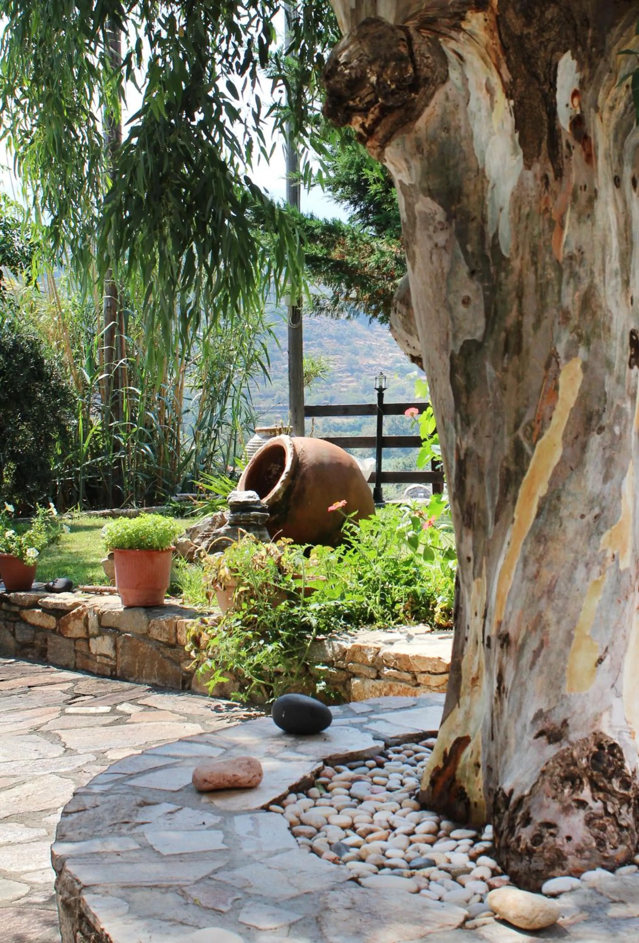 Ikaria Utopia - Cusco Studios