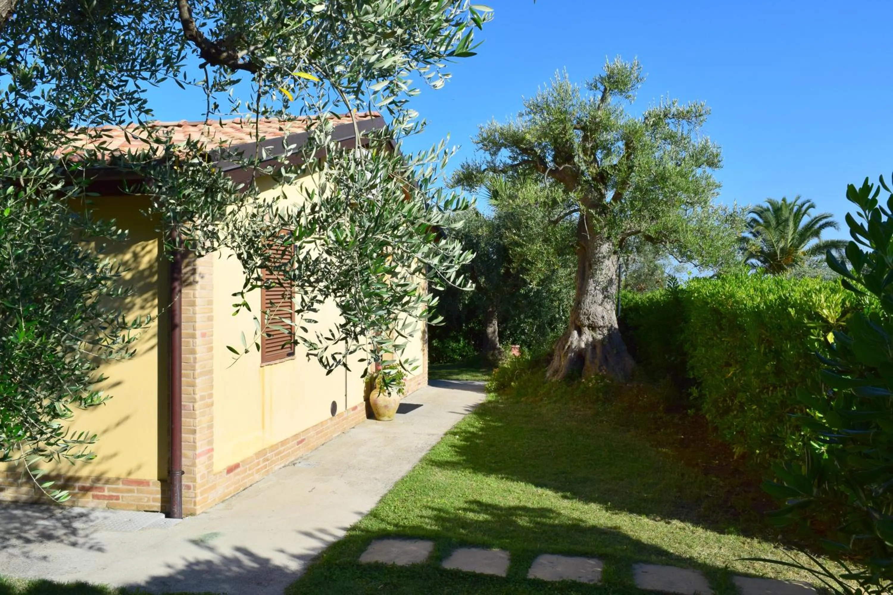 Garden in Villa Manu