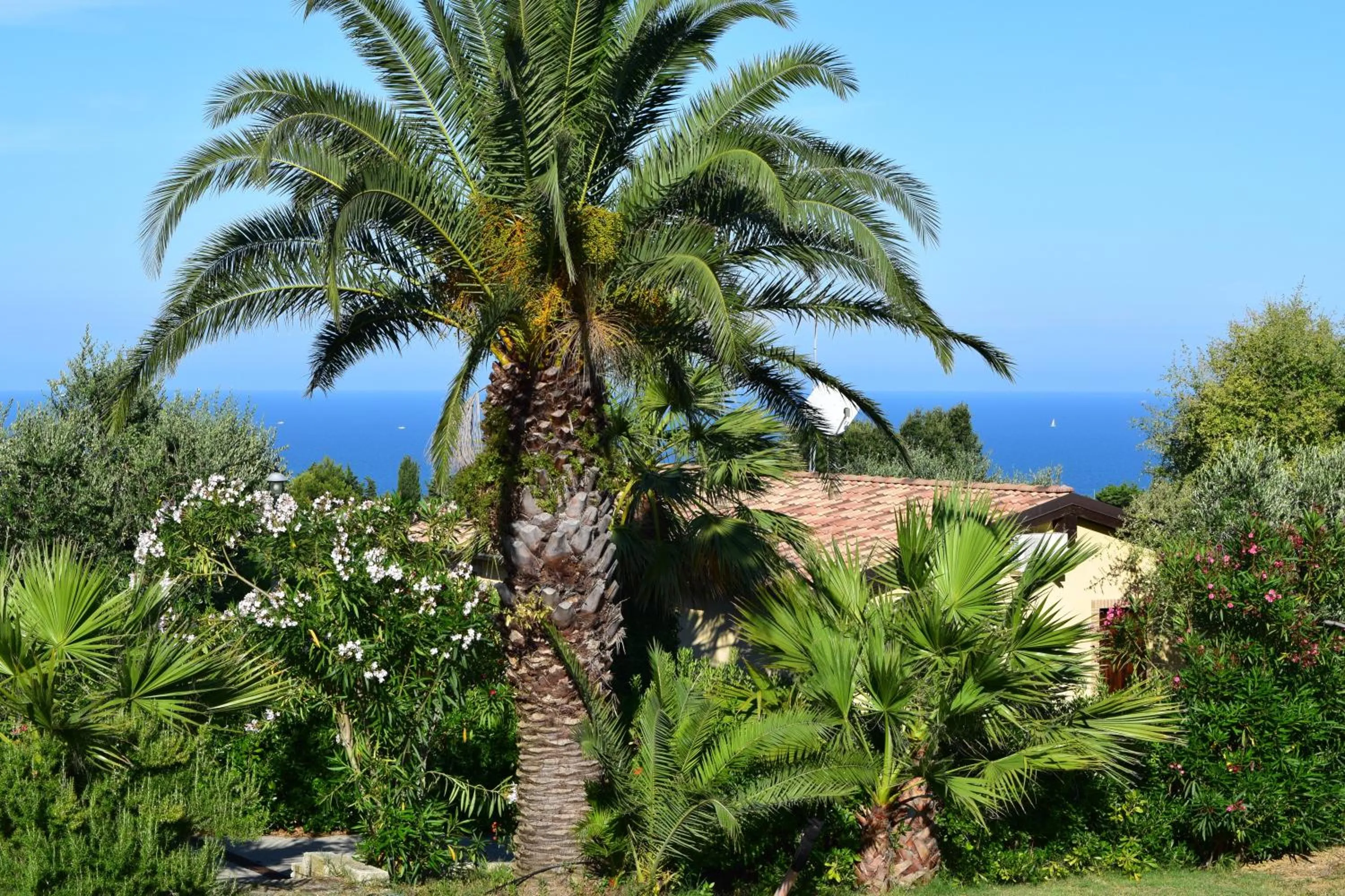 Property building in Villa Manu
