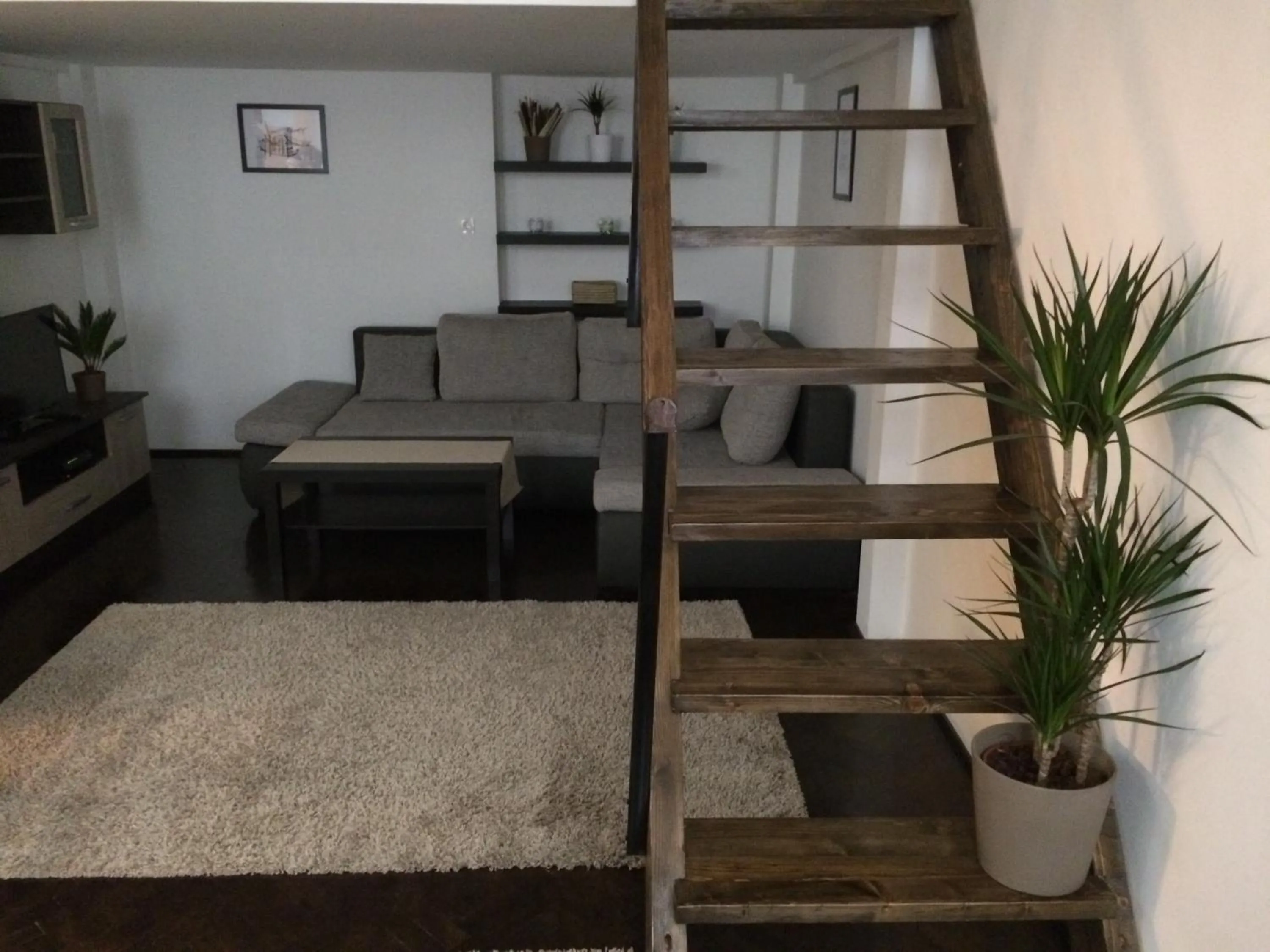 Living room in Central King Apartment
