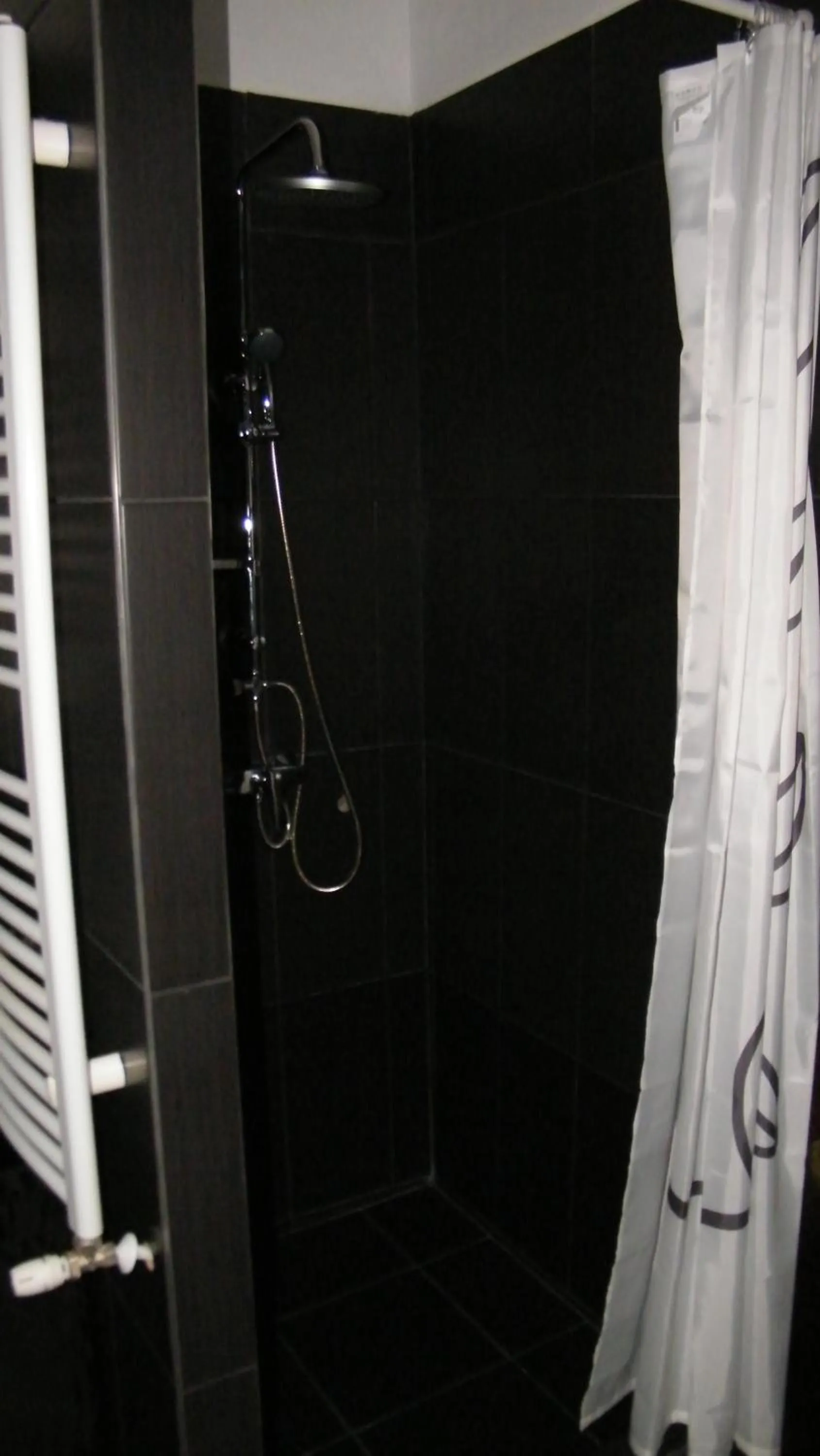 Bathroom in Central King Apartment