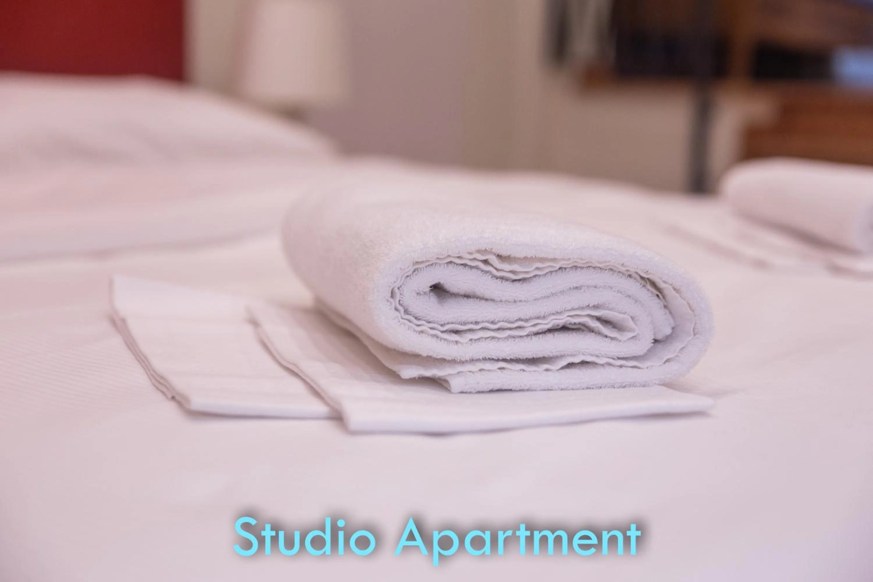 BolognaRoomscom - Santo Stefano Apartments