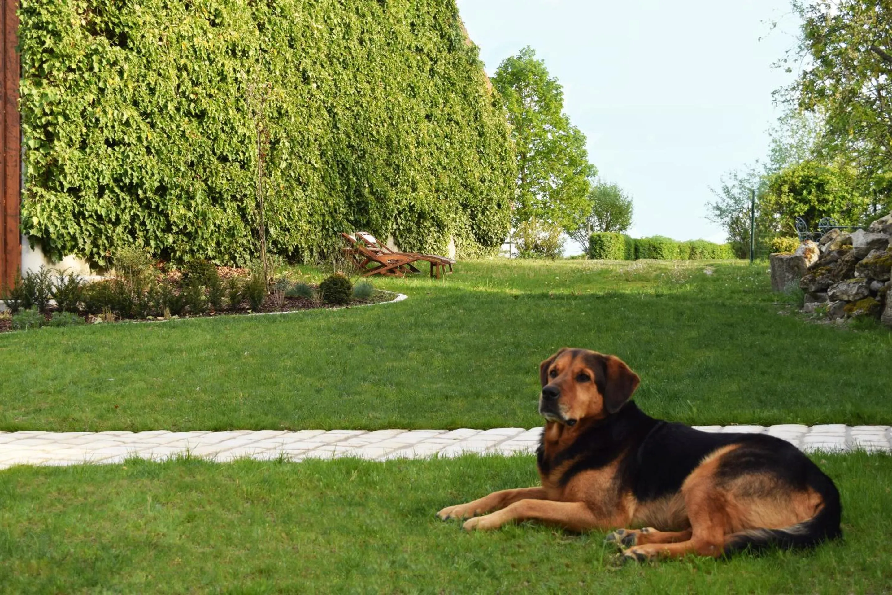 Garden in Au Pré du Moulin