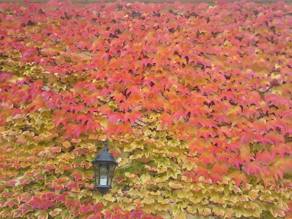 Property building in Au Pré du Moulin