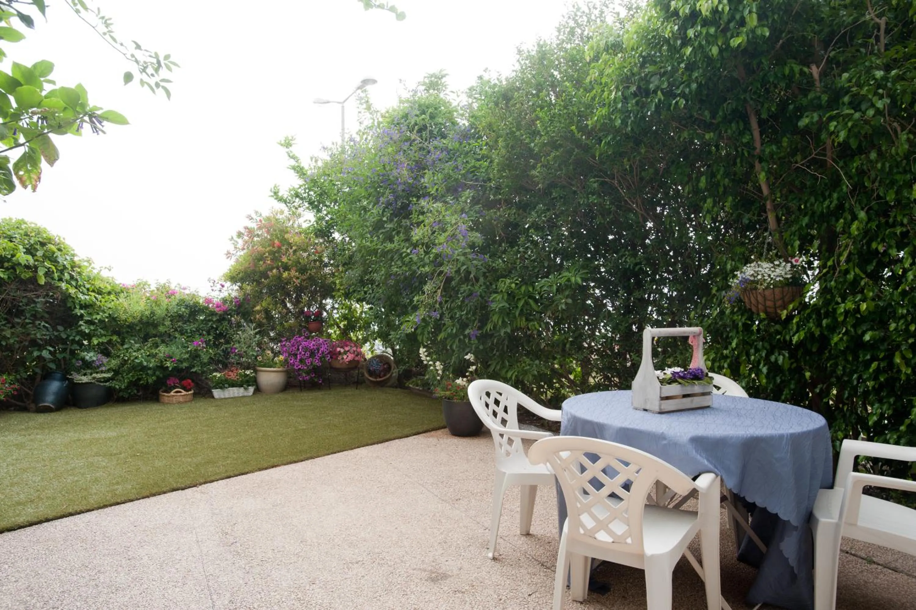Garden in Eshkol Housing Haifa - Luxury Villa Panoramic Sea View חיפה כרמל