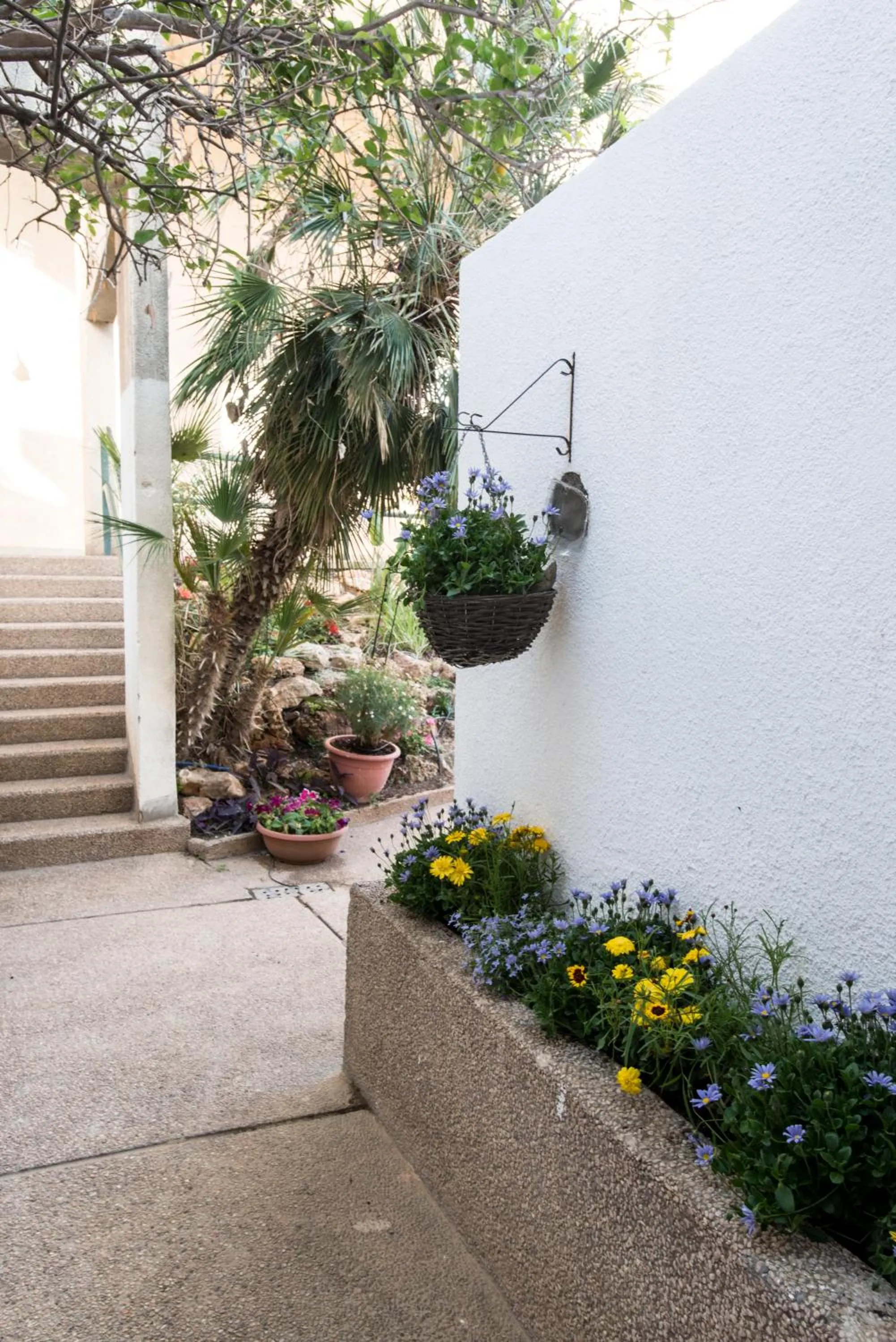 Facade/entrance in Eshkol Housing Haifa - Luxury Villa Panoramic Sea View חיפה כרמל