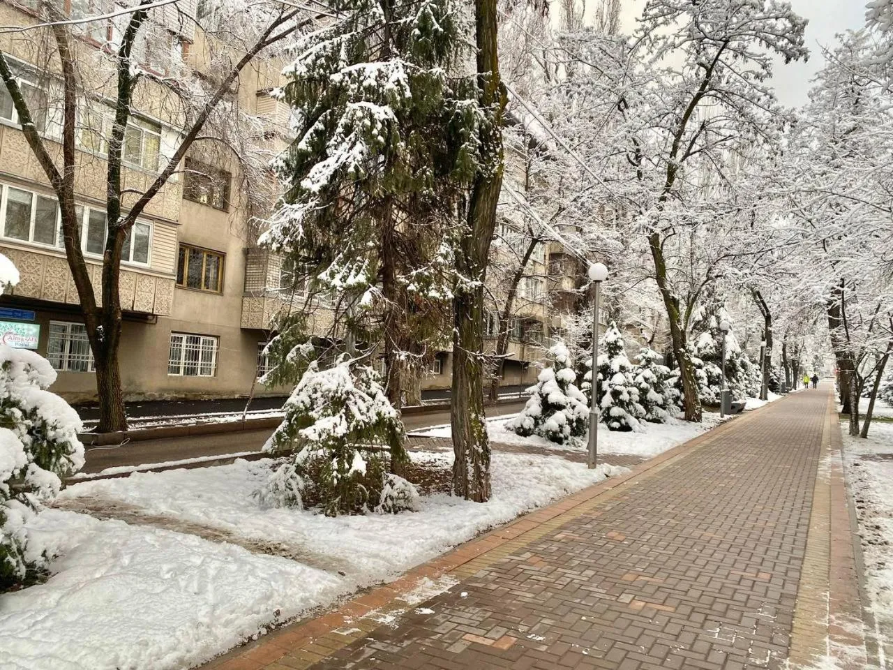 Winter in Alma-Ata Hostel