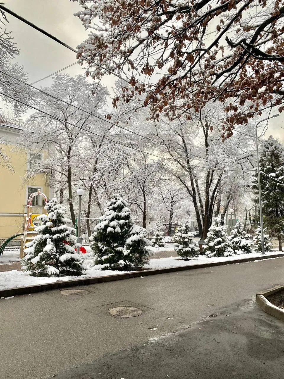 Winter in Alma-Ata Hostel