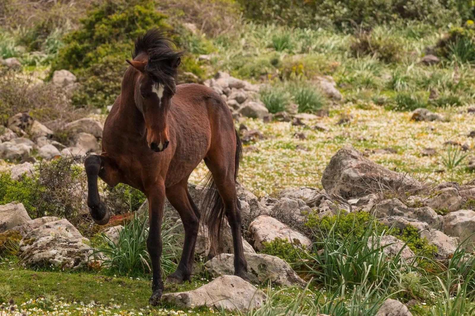 Hiking in Albergo Diffuso Il Mandorlo