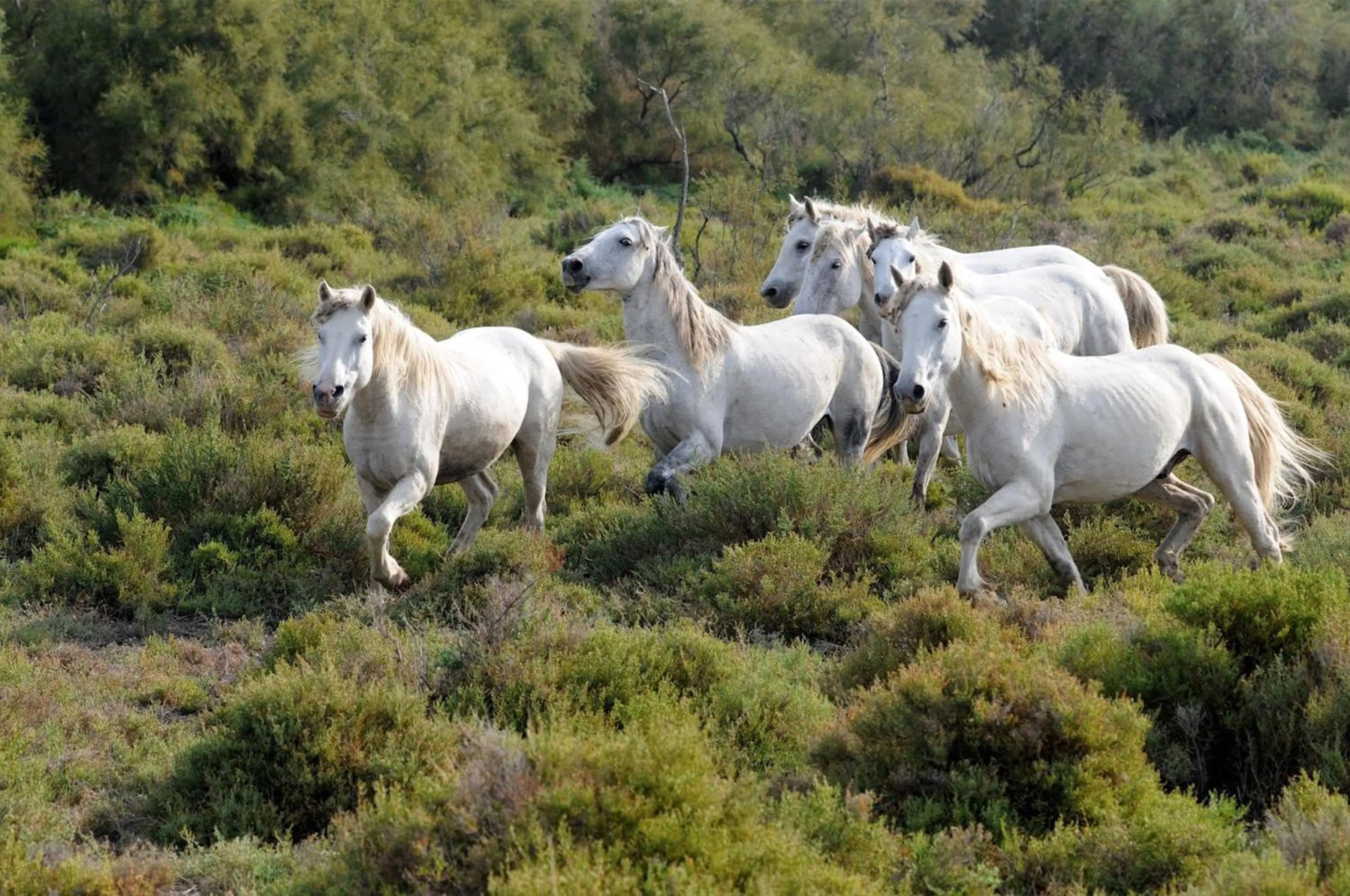 Nearby landmark in La Résidence Arles Centre