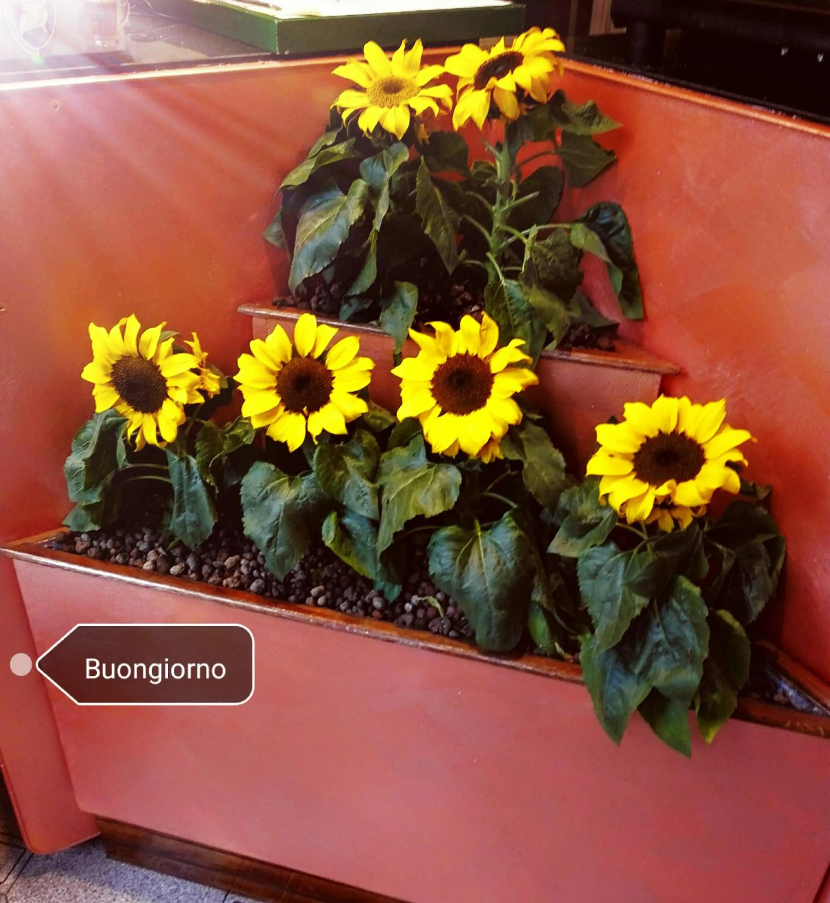 Property building in Albergo B&B Ristorante Grace