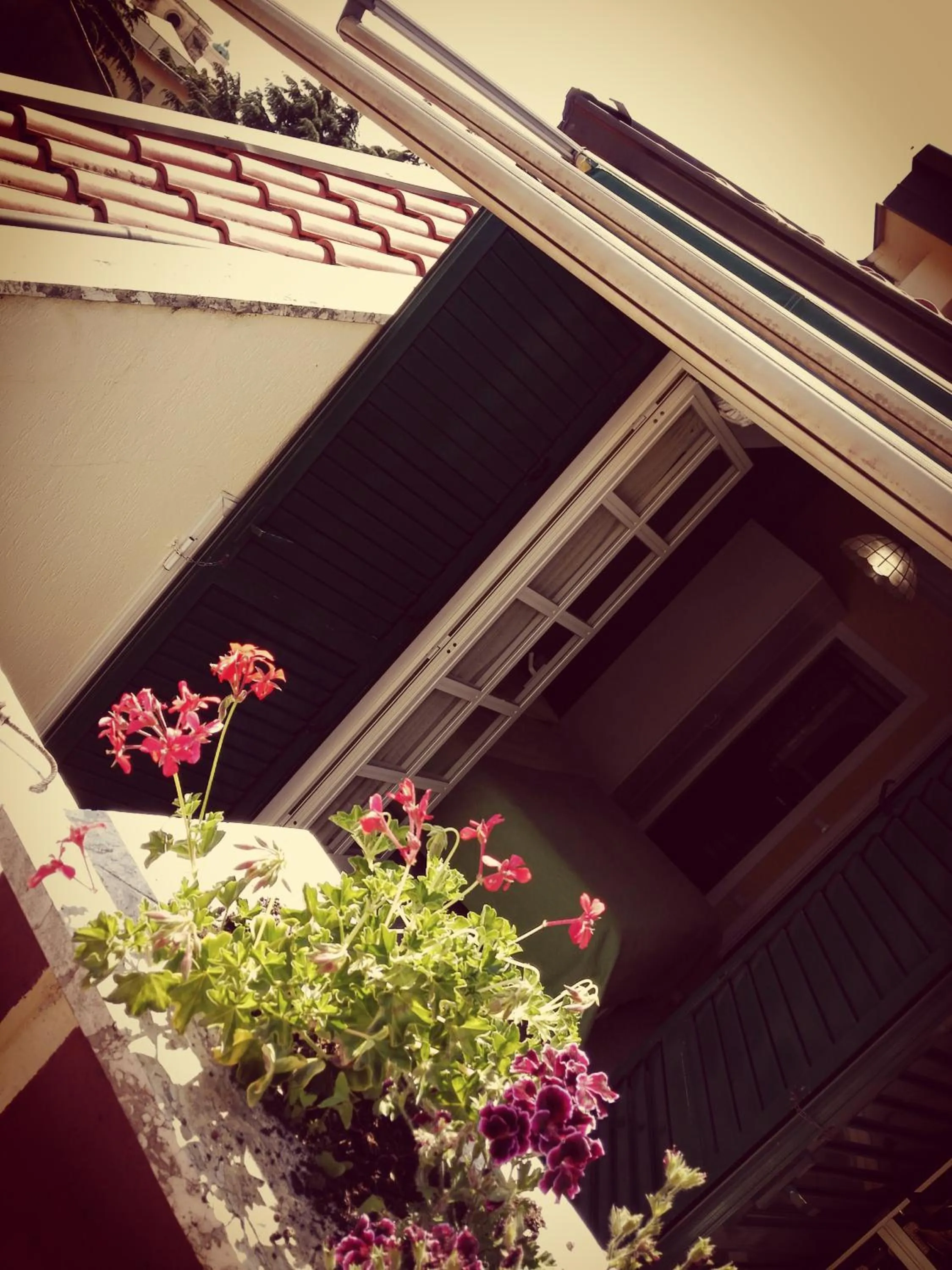 Area and facilities in Albergo B&B Ristorante Grace