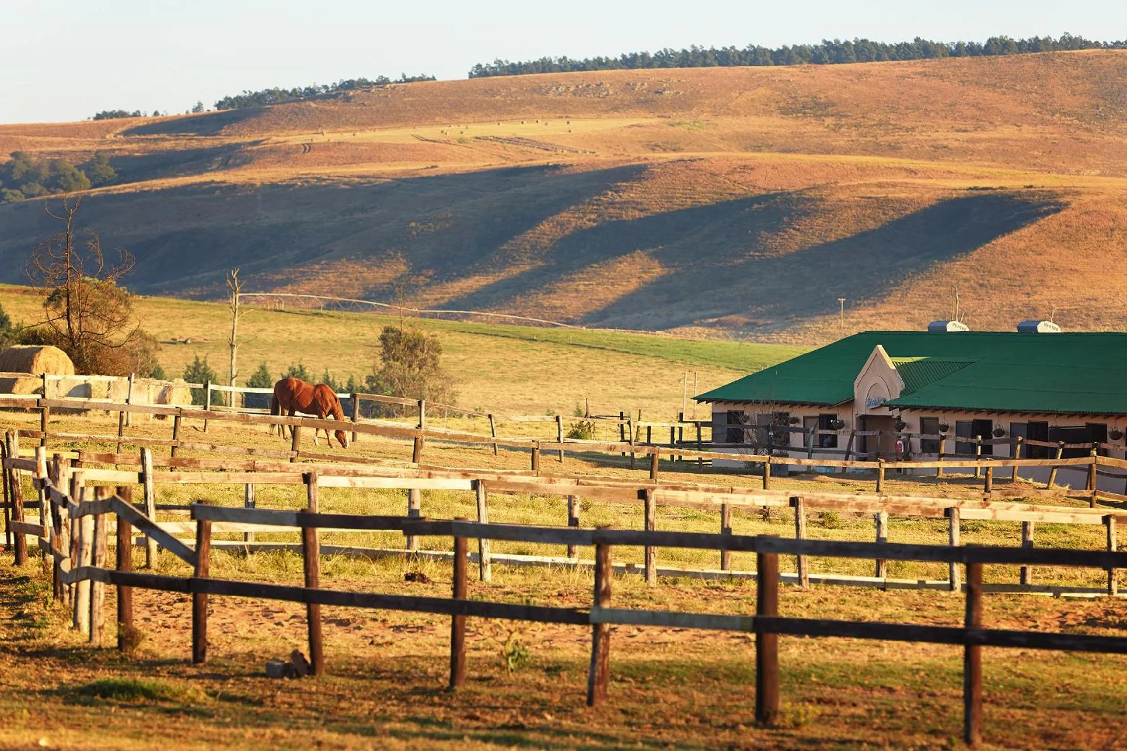 Property building in First Group Midlands Saddle and Trout