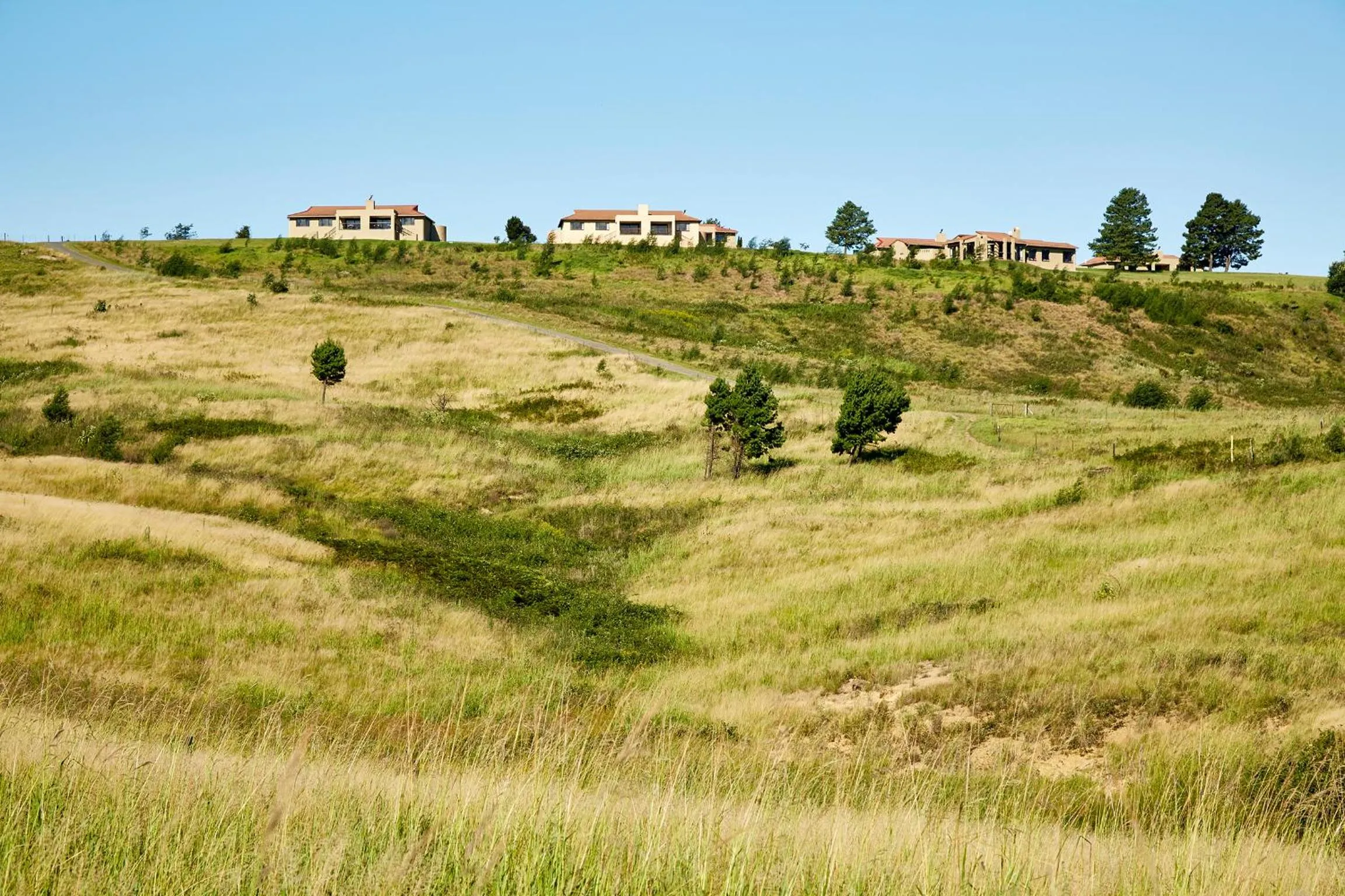 Natural landscape in First Group Midlands Saddle and Trout
