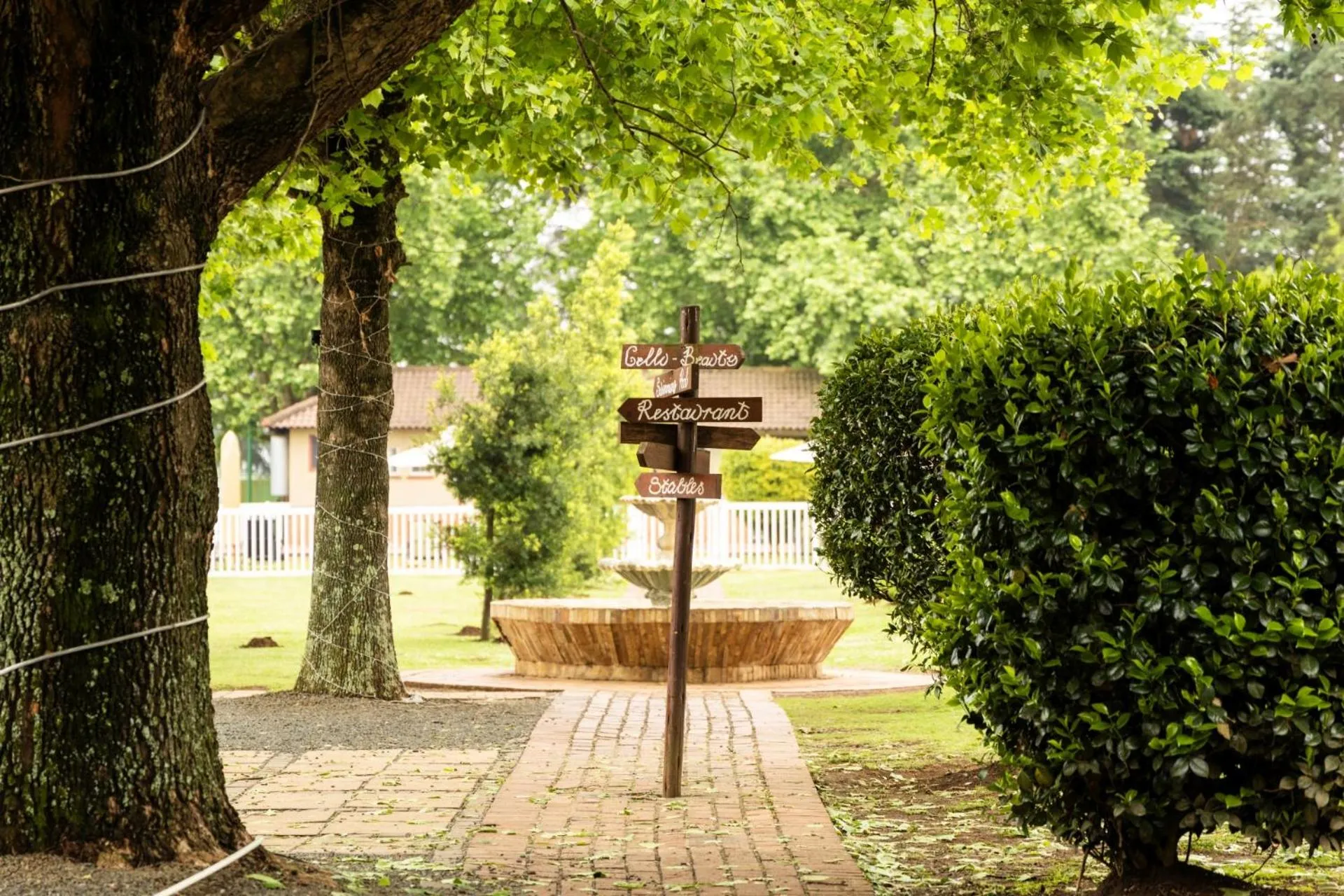 Day in First Group Midlands Saddle and Trout
