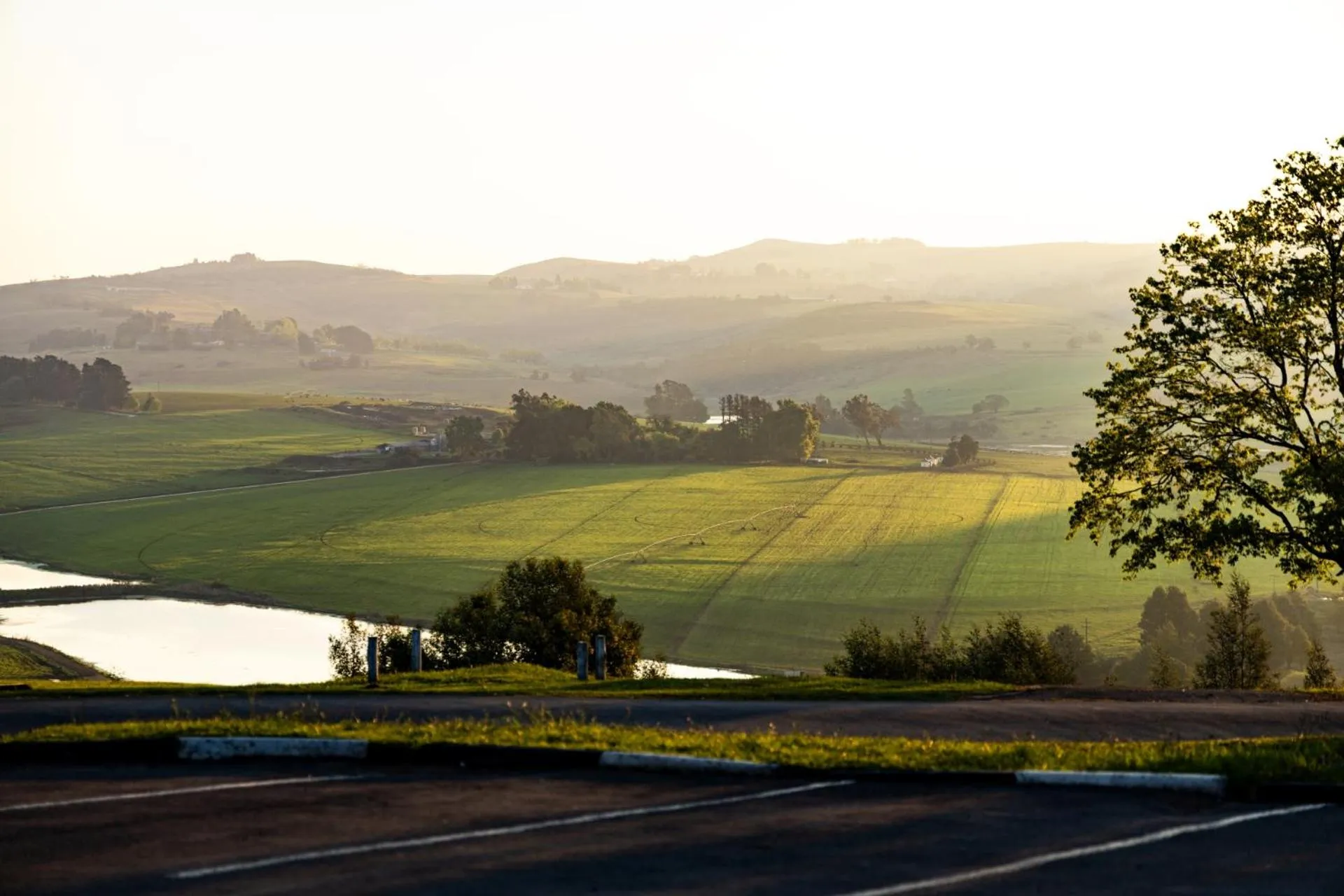 Day in First Group Midlands Saddle and Trout