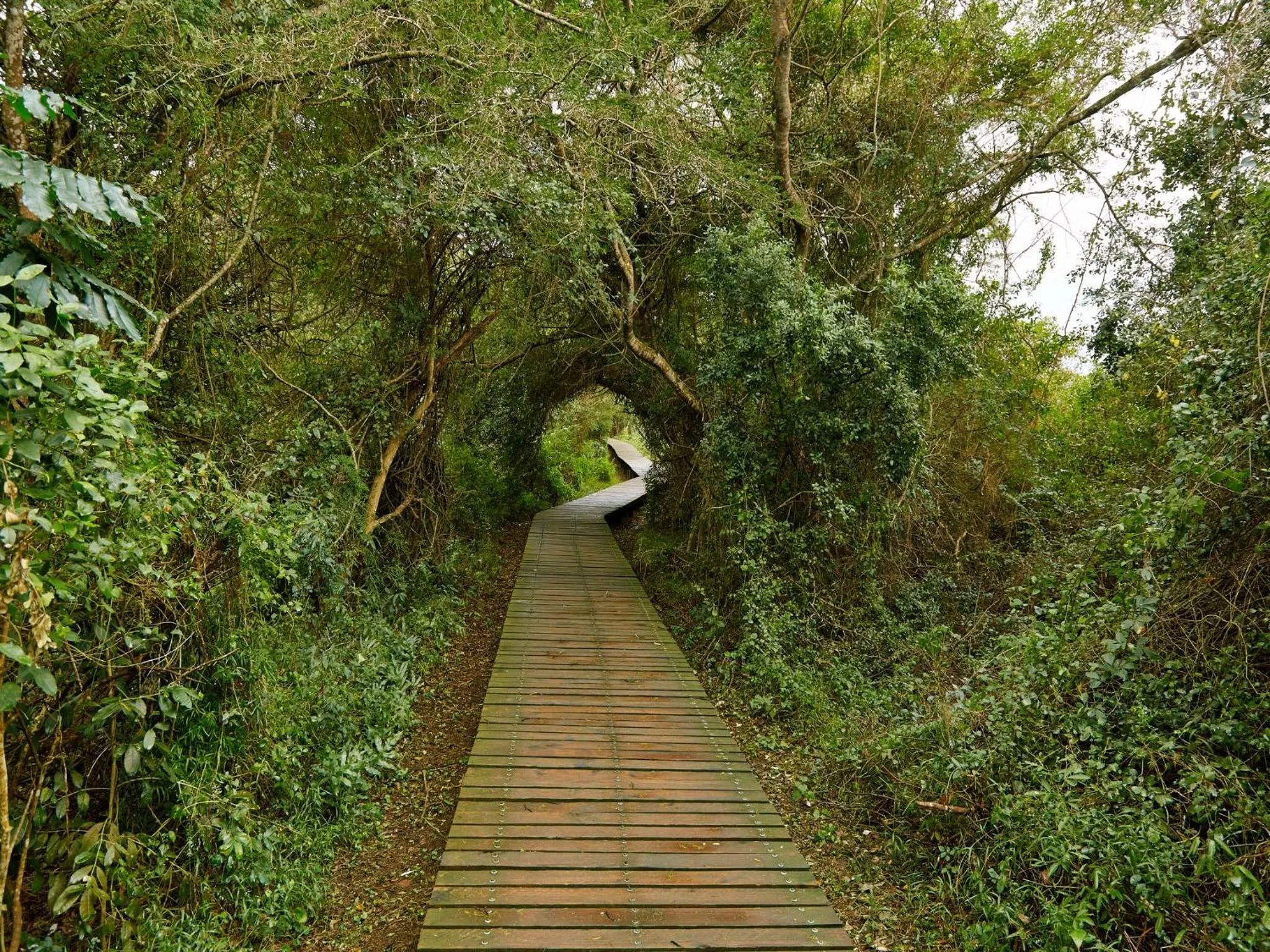 Activities in Perna Perna Lodge St Lucia