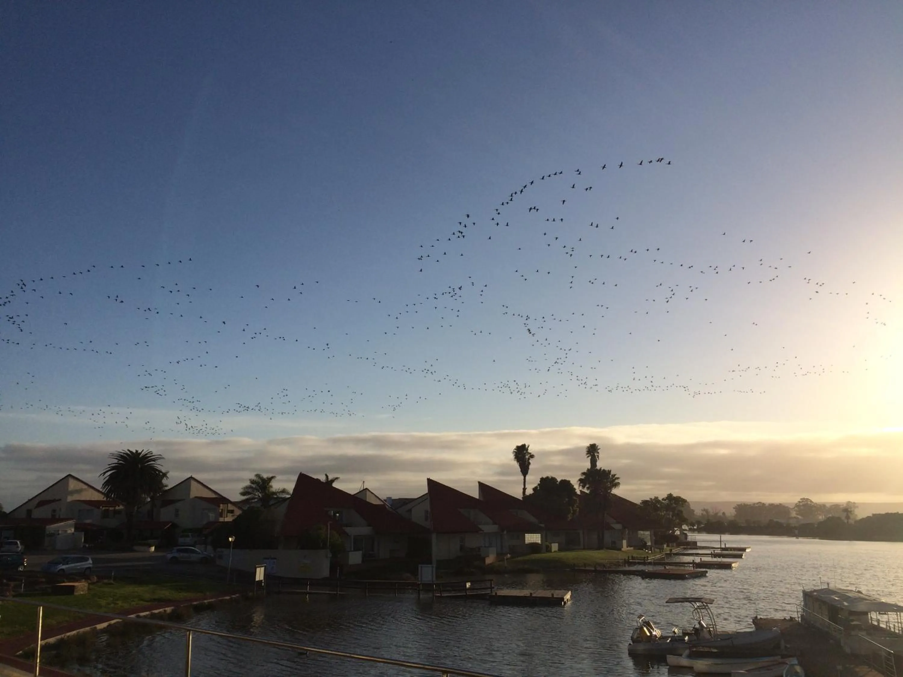 Sunset in First Group Port Owen Marina