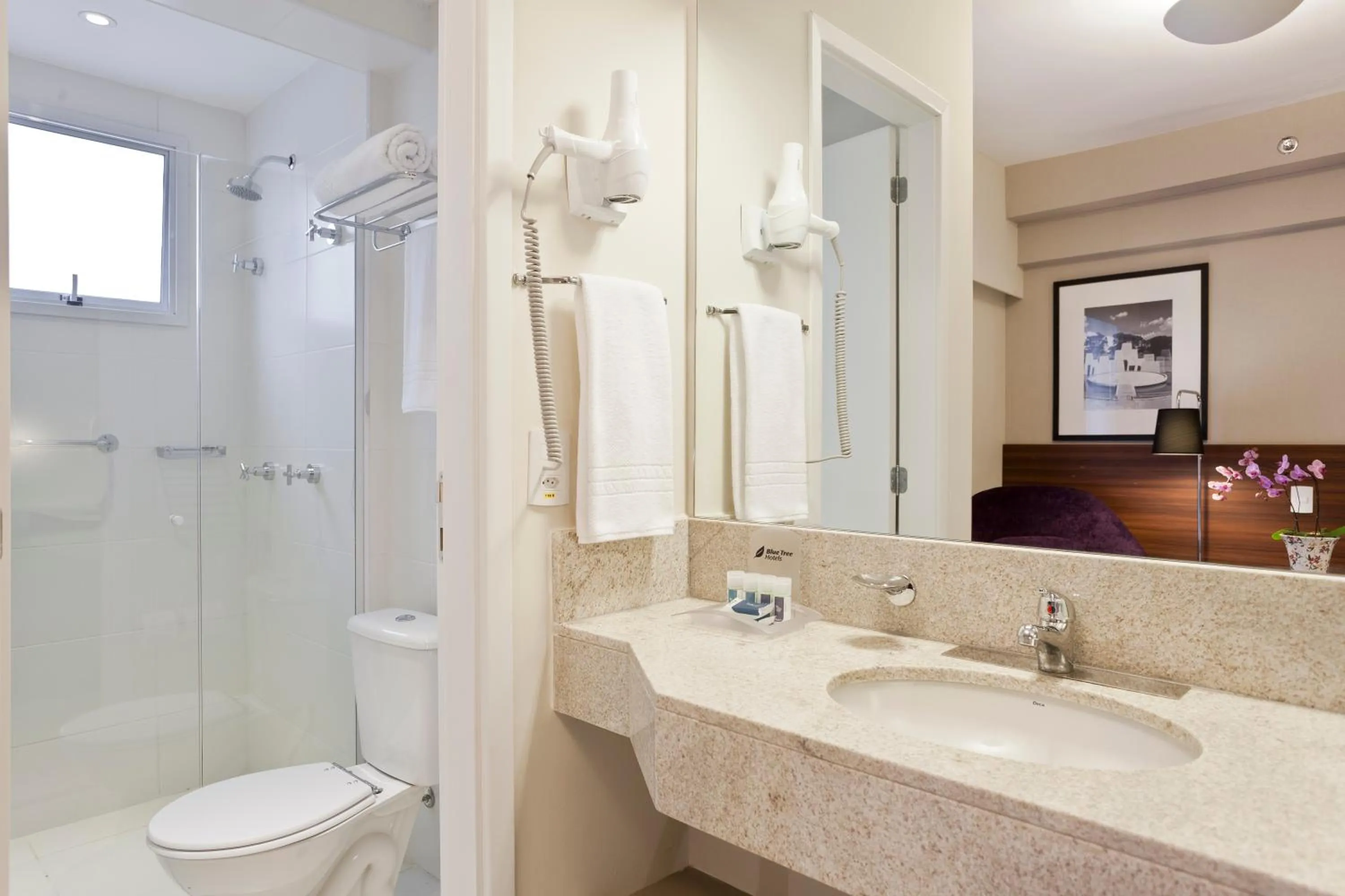 Shower in Blue Tree Towers Bauru