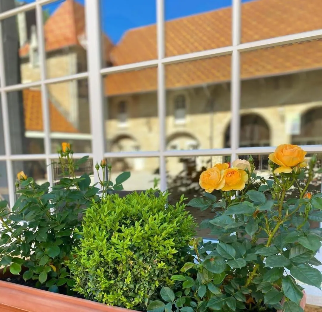 Patio in Château de Bournel