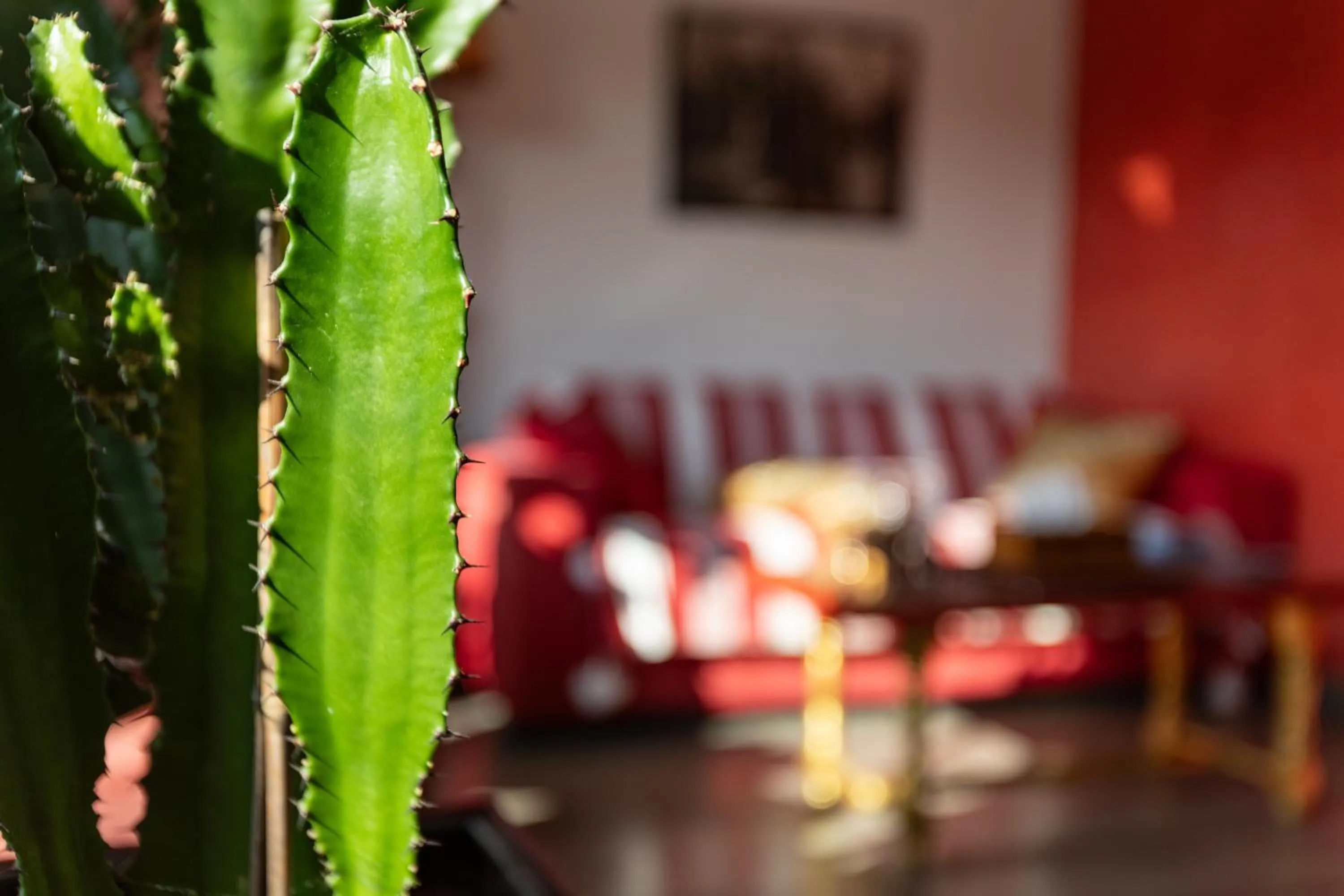 Communal lounge/ TV room in Chambre d'Amis - Chambres d'Hôtes-B&B-Guest House