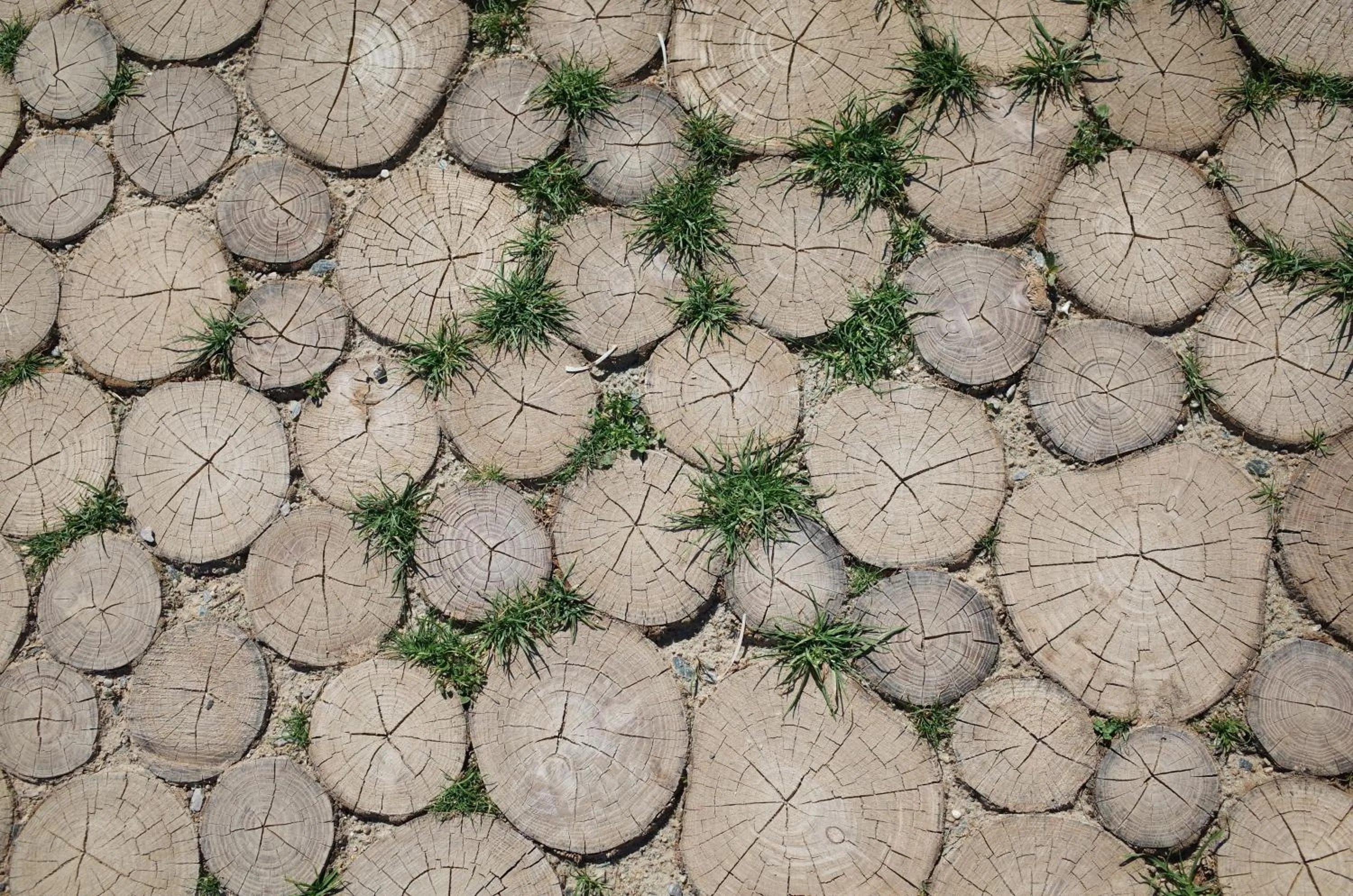 Decorative detail in Zagreb Camp Bungalows