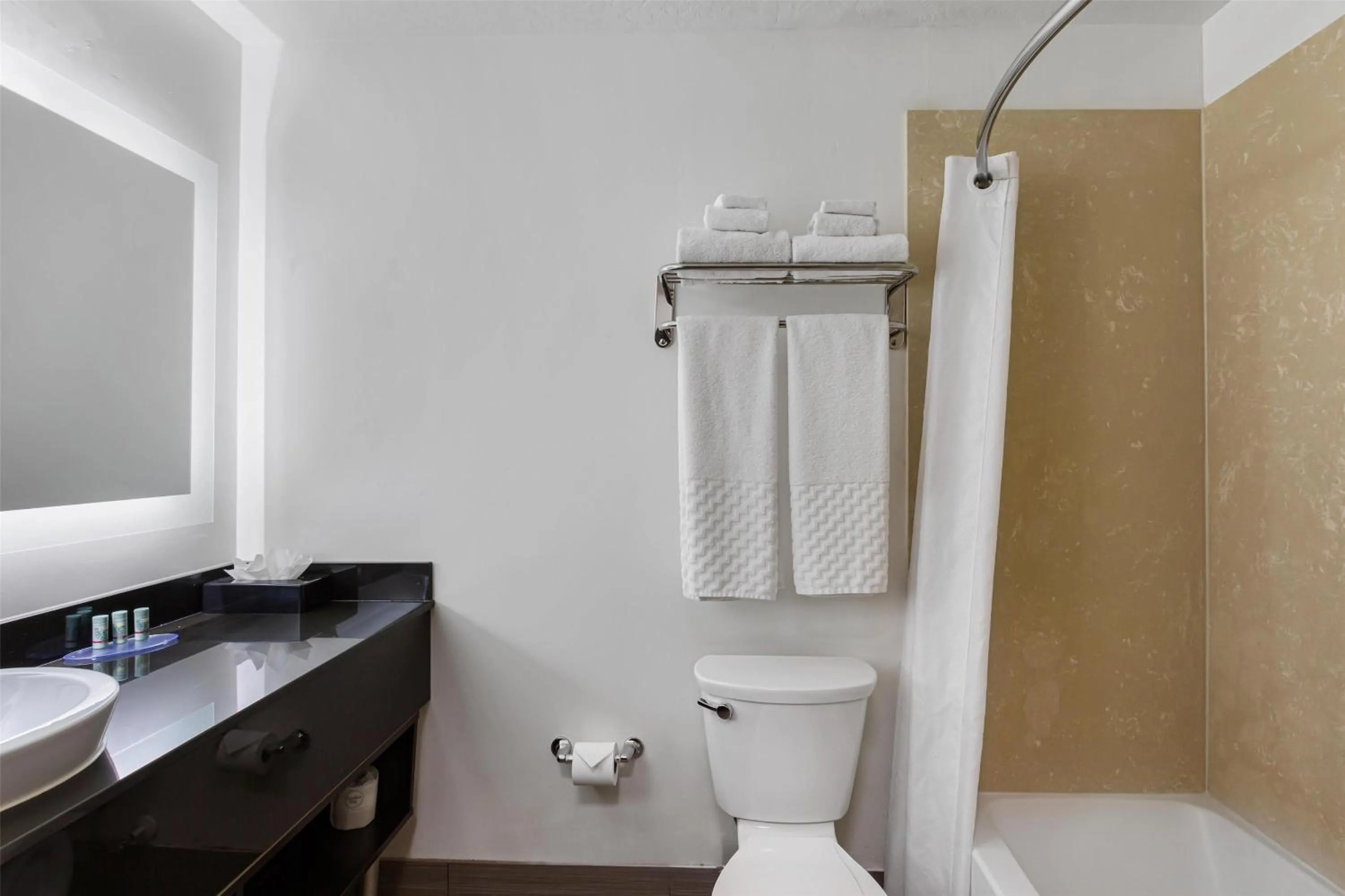 Bathroom in Best Western Duchesne Inn