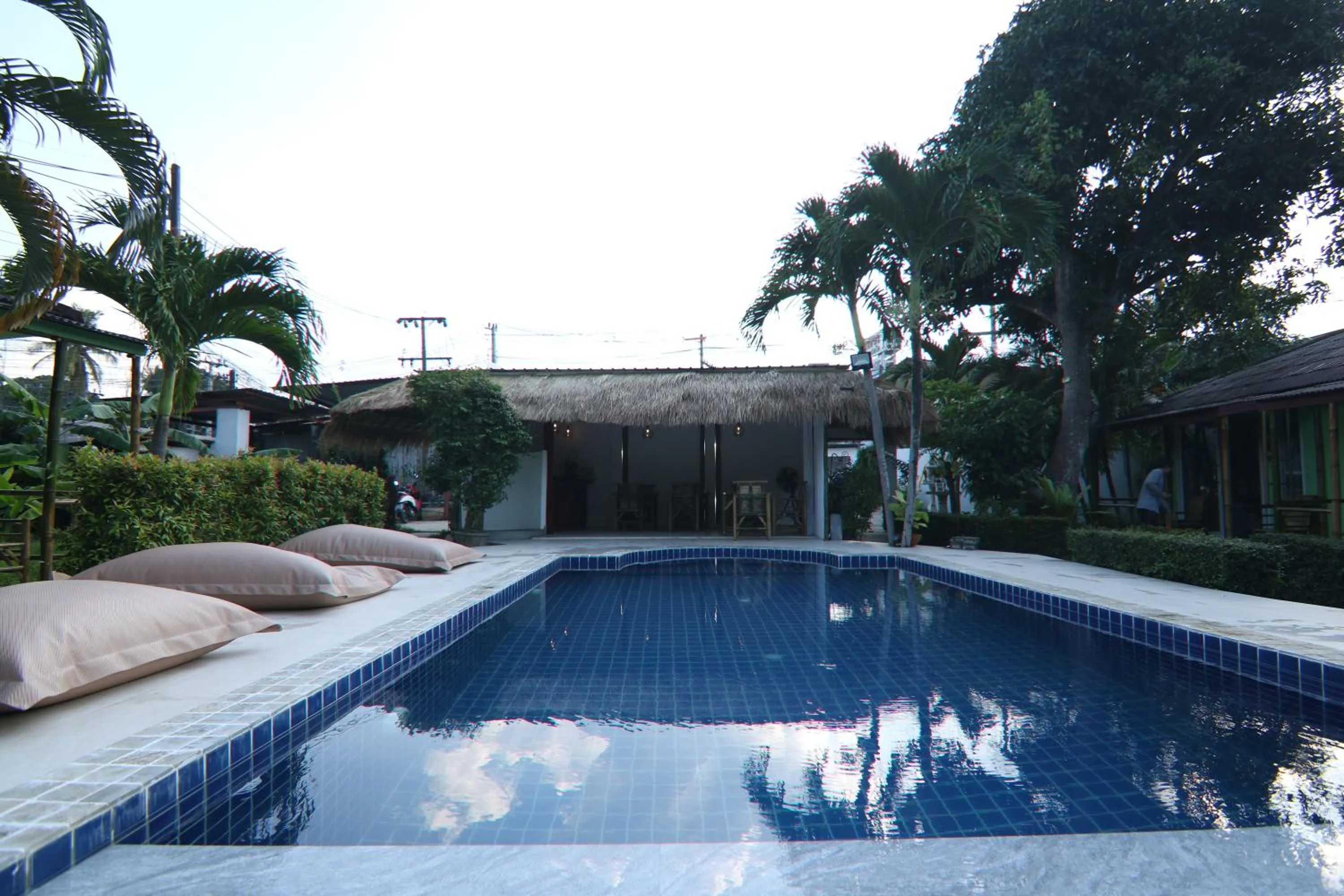 Day in Avocado Koh Samui