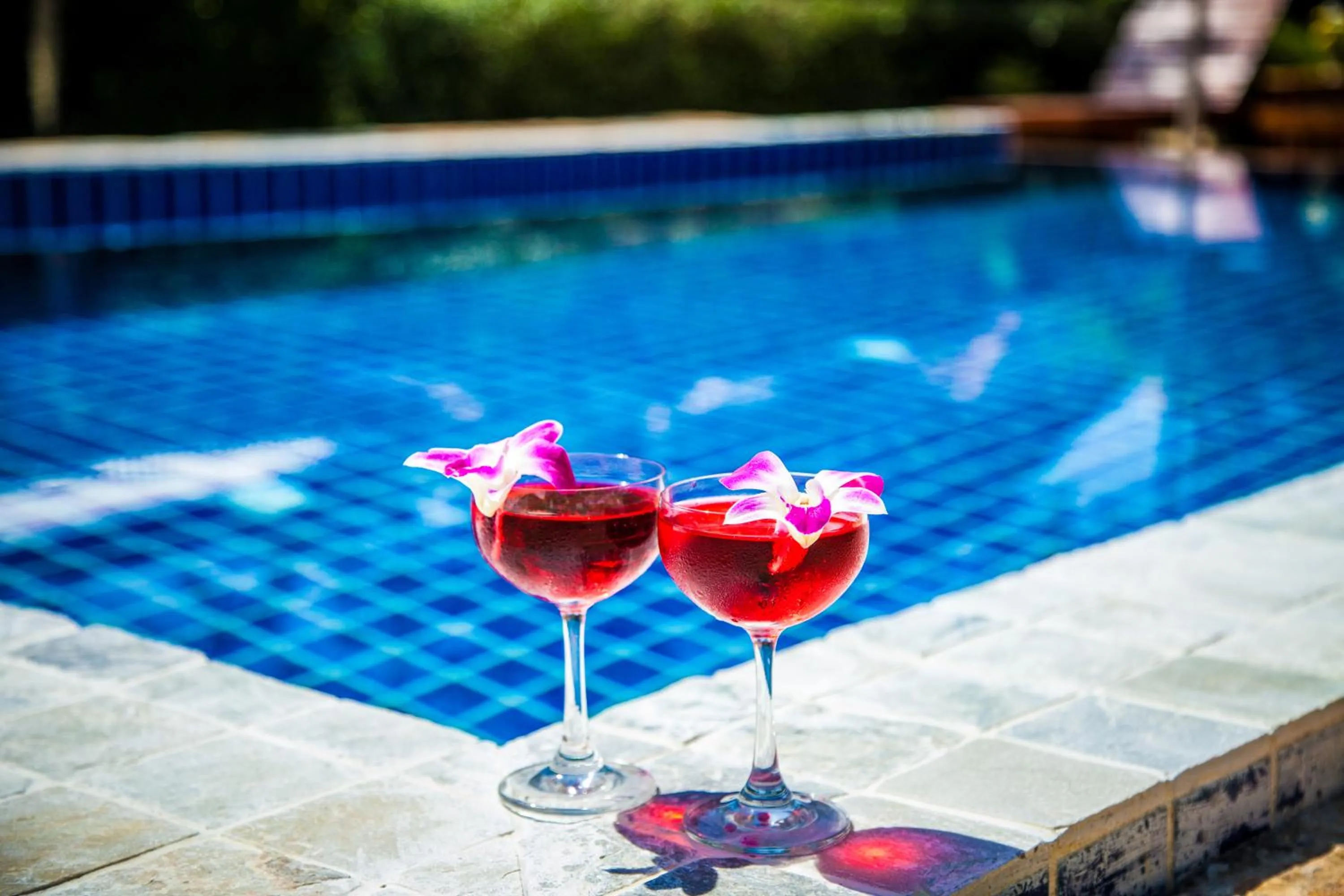 Swimming pool in Avocado Koh Samui