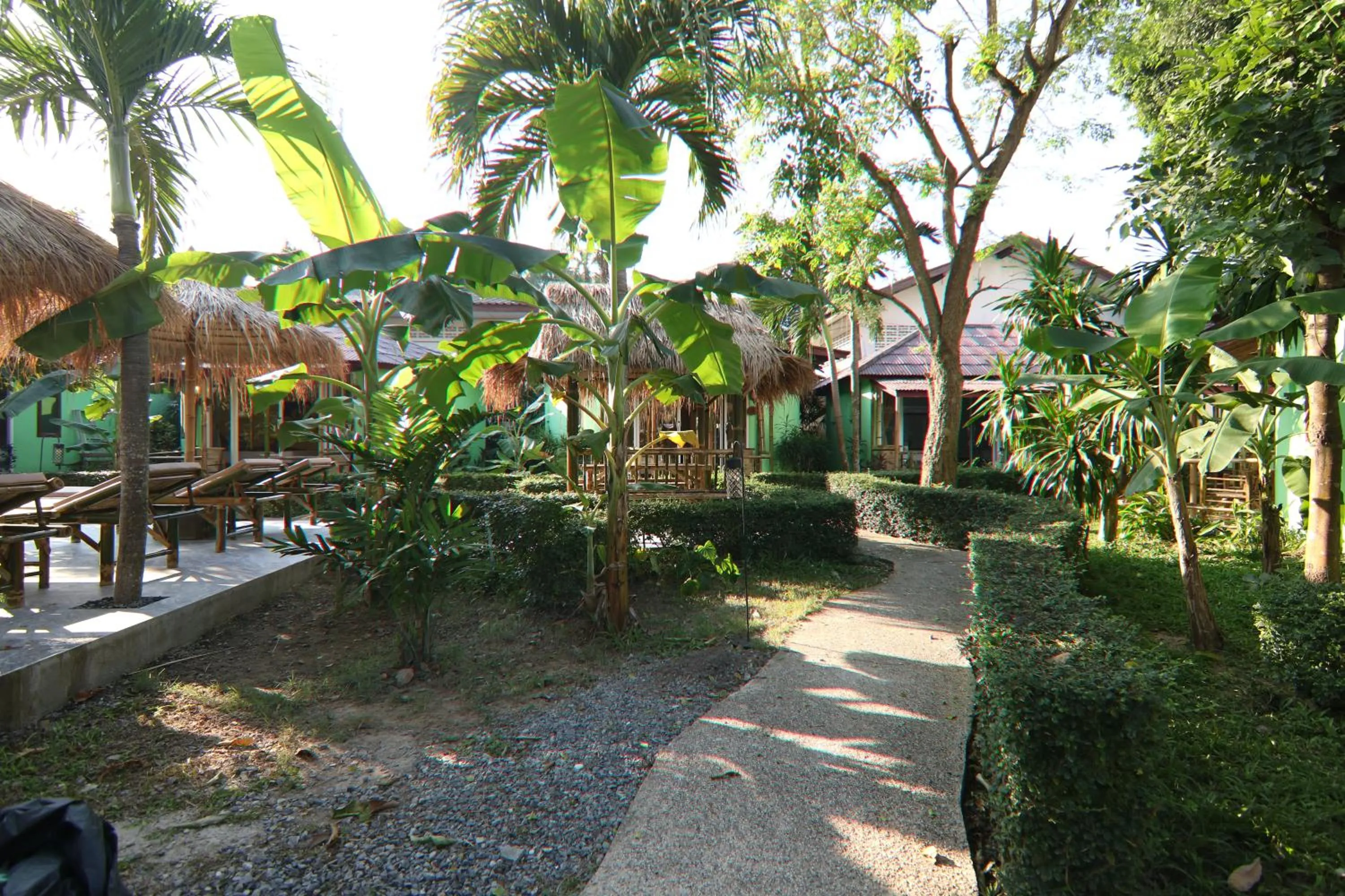 Property building in Avocado Koh Samui
