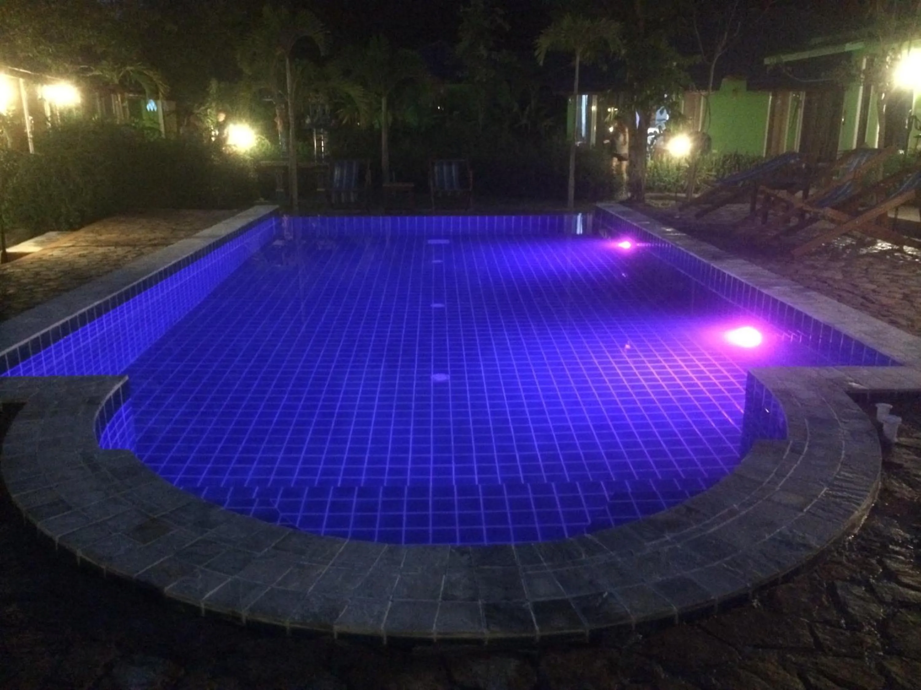 Night in Avocado Koh Samui