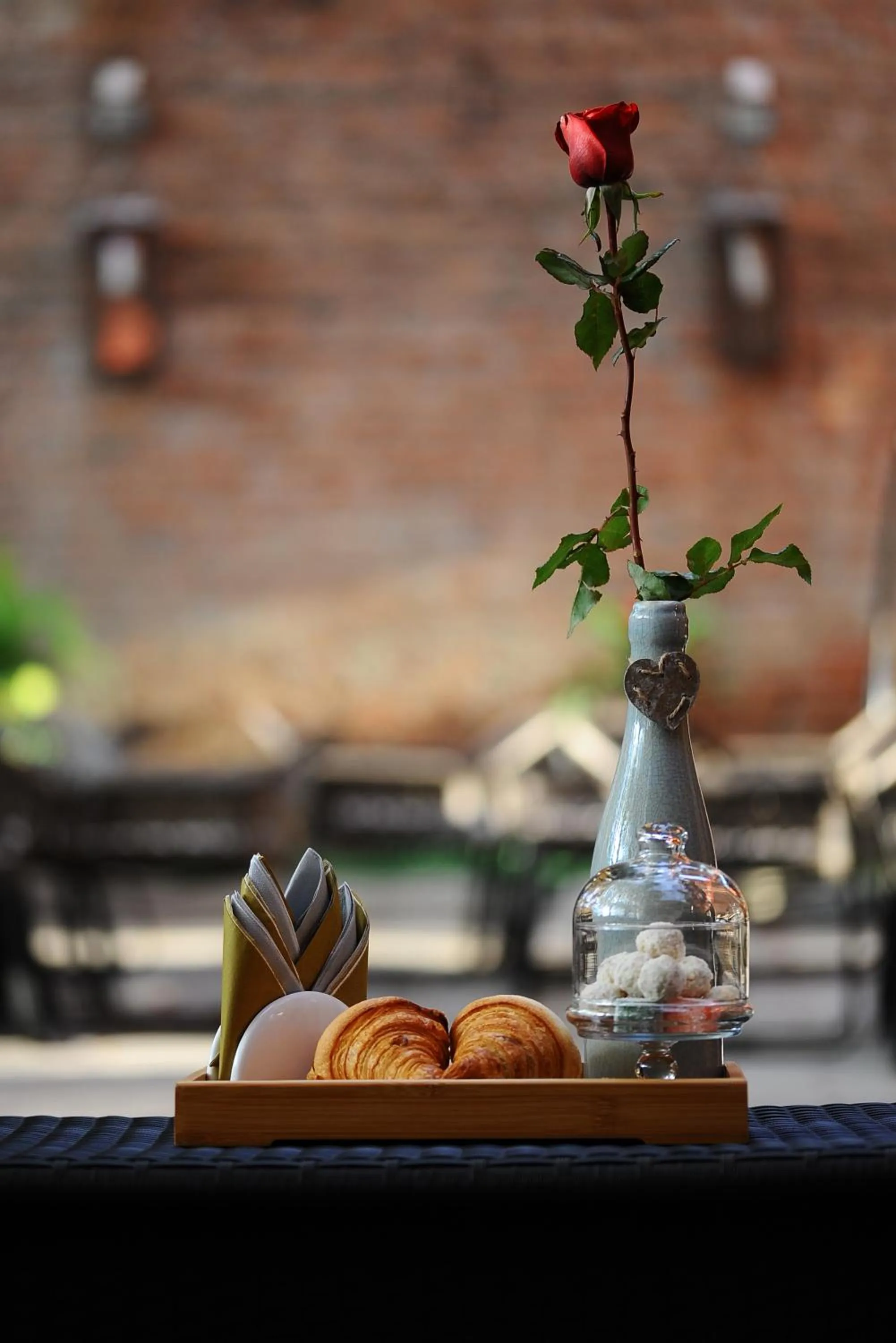 Garden in Coral Boutique Hotel