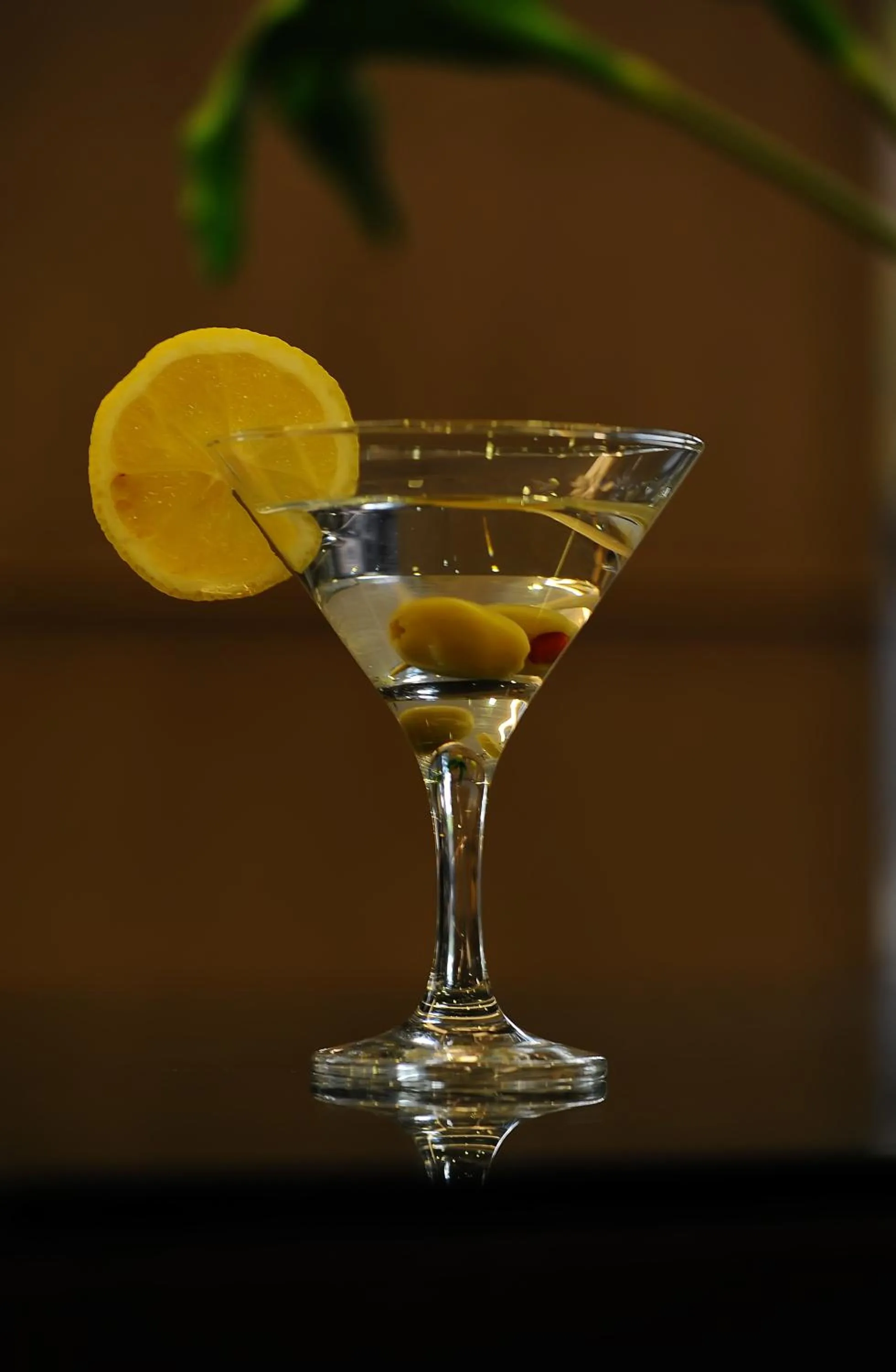 Alcoholic drinks in Coral Boutique Hotel