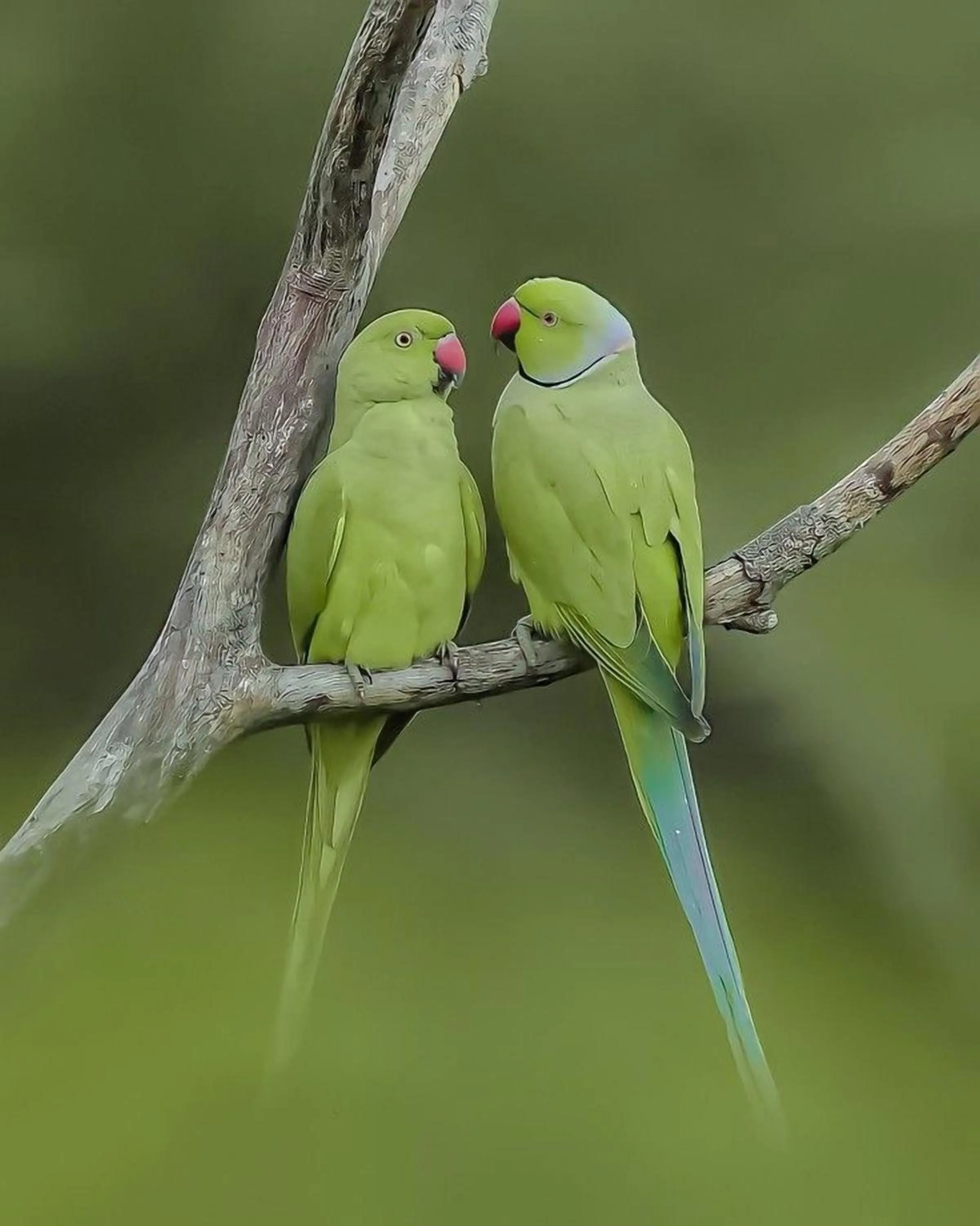 Neighbourhood in Panorama Inn